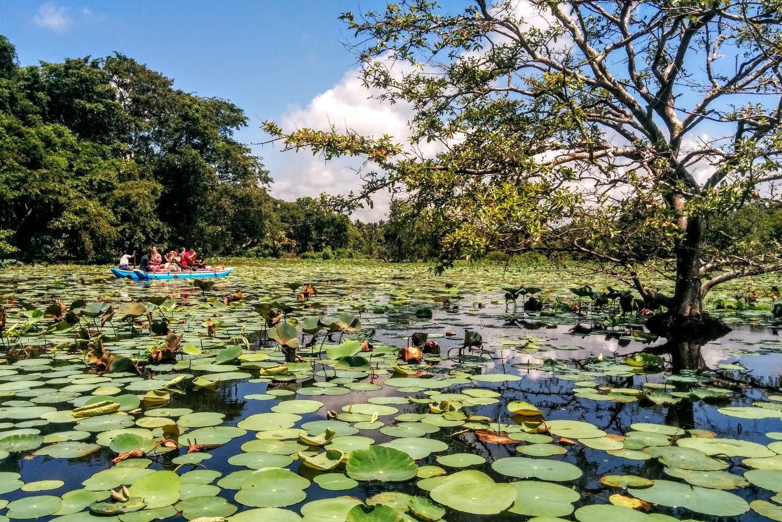 Habarana Lake Sri Lanka