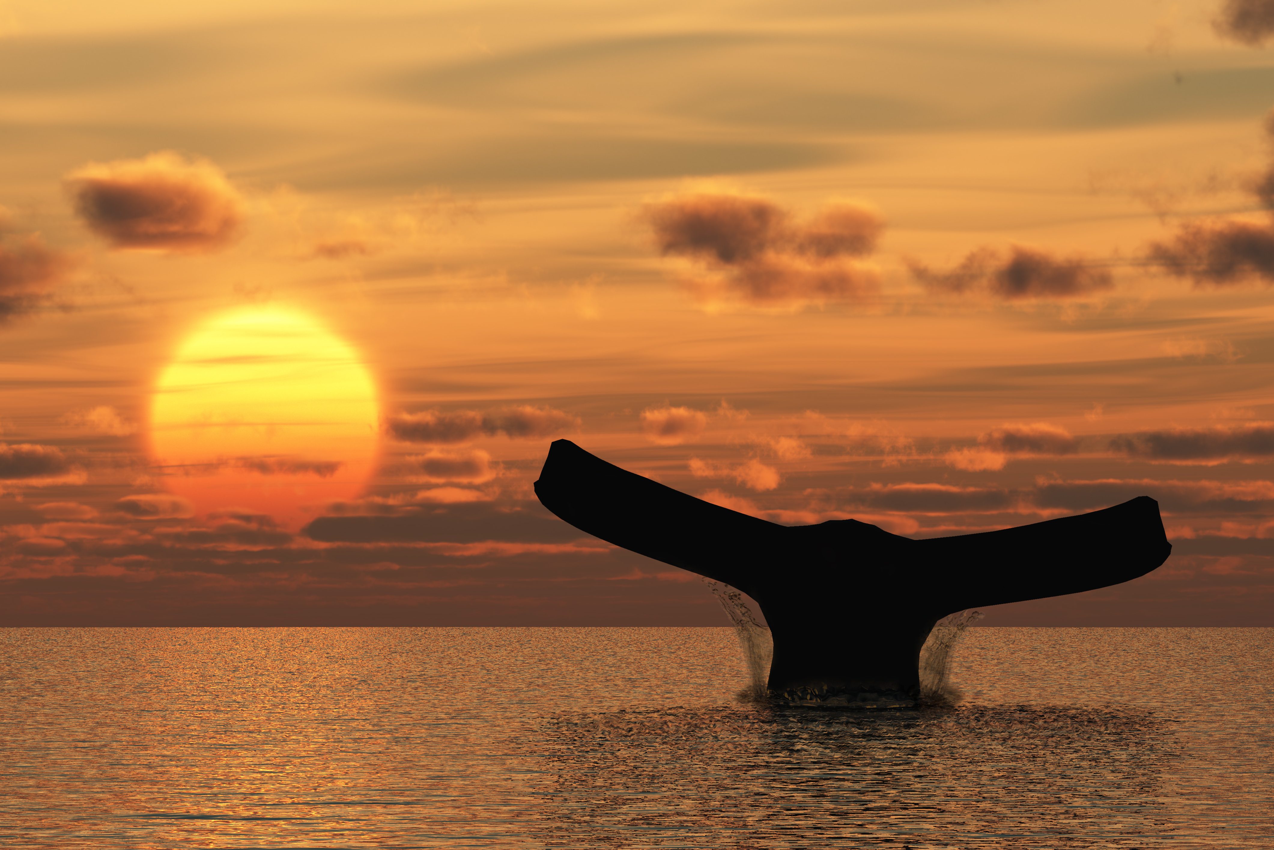 Walvis bij Monterey in Amerika