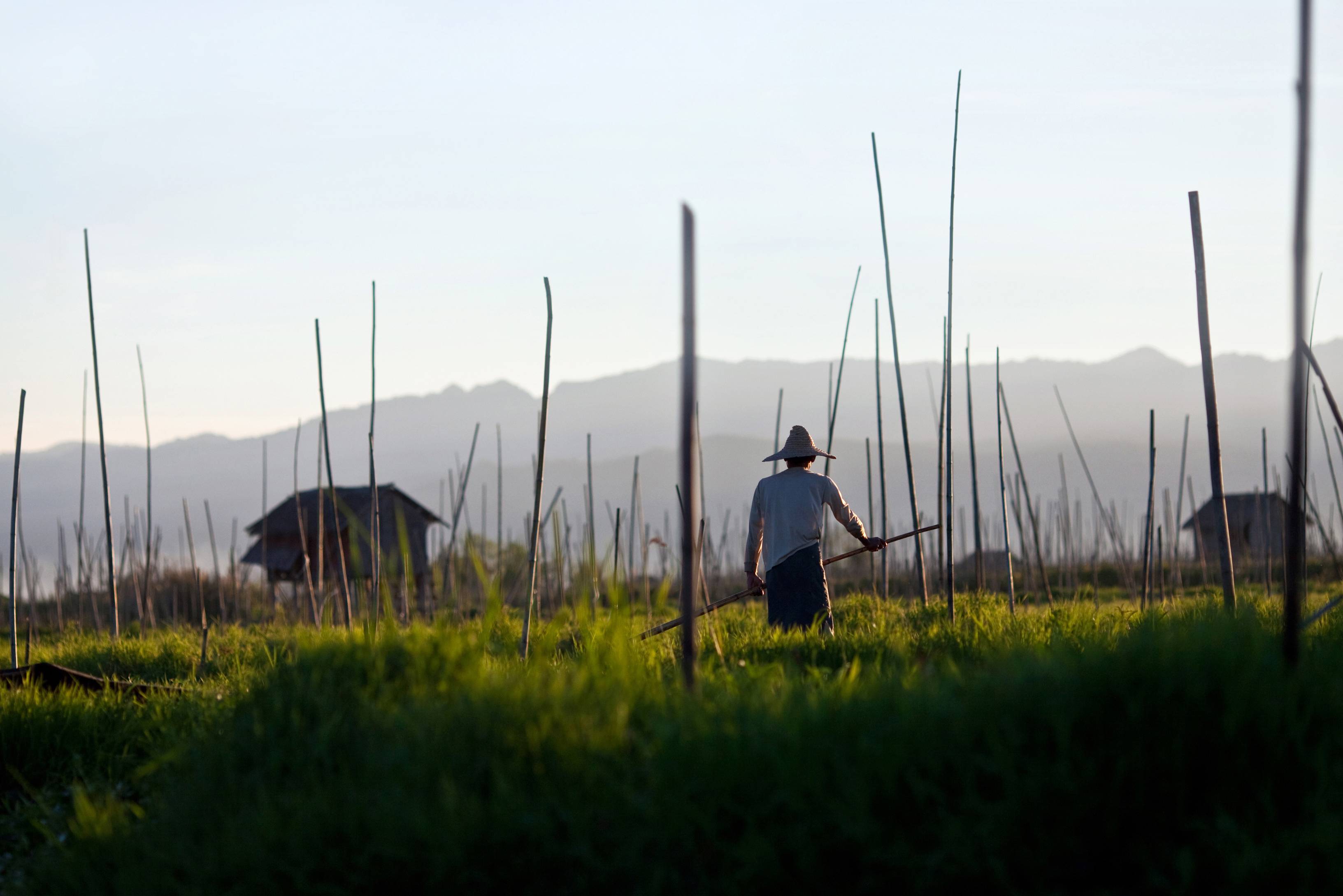 Drijvende plantages Inle Lake Myanmar
