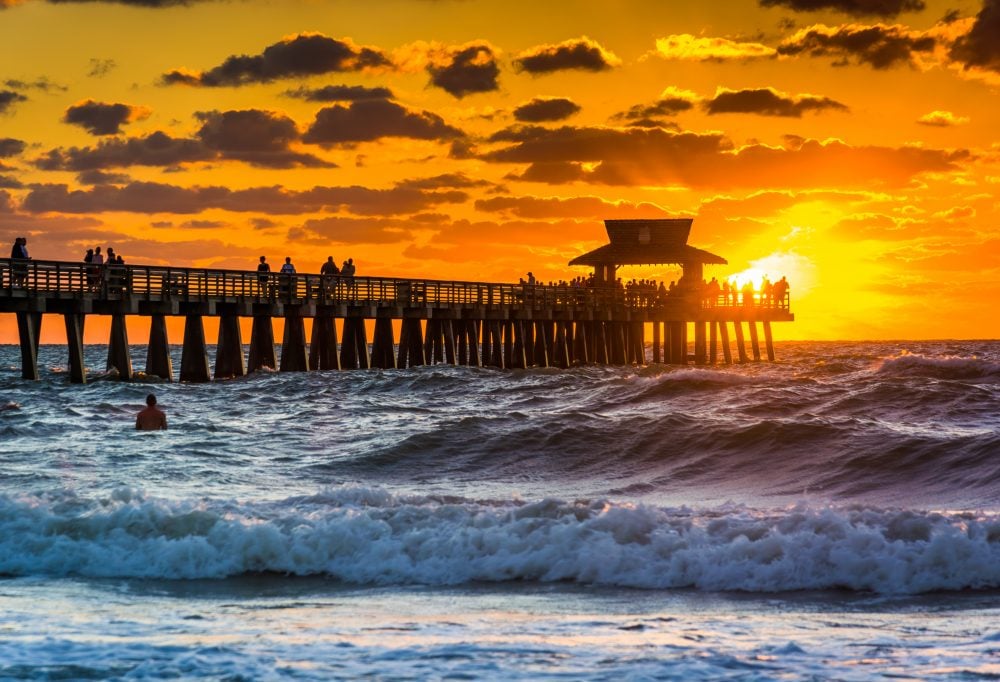 Highlights Florida Superior