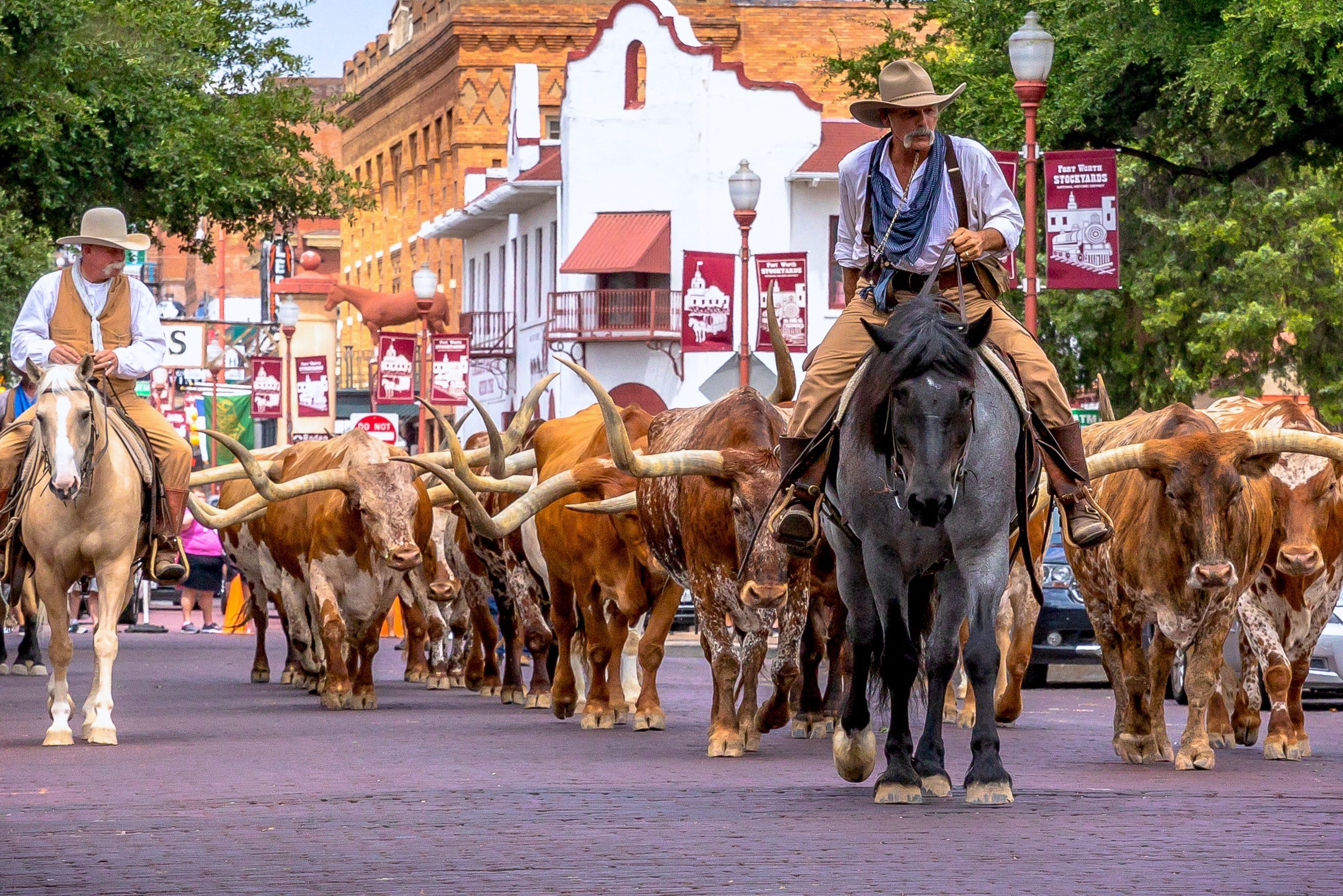 Vee in Forth Worth in Texas