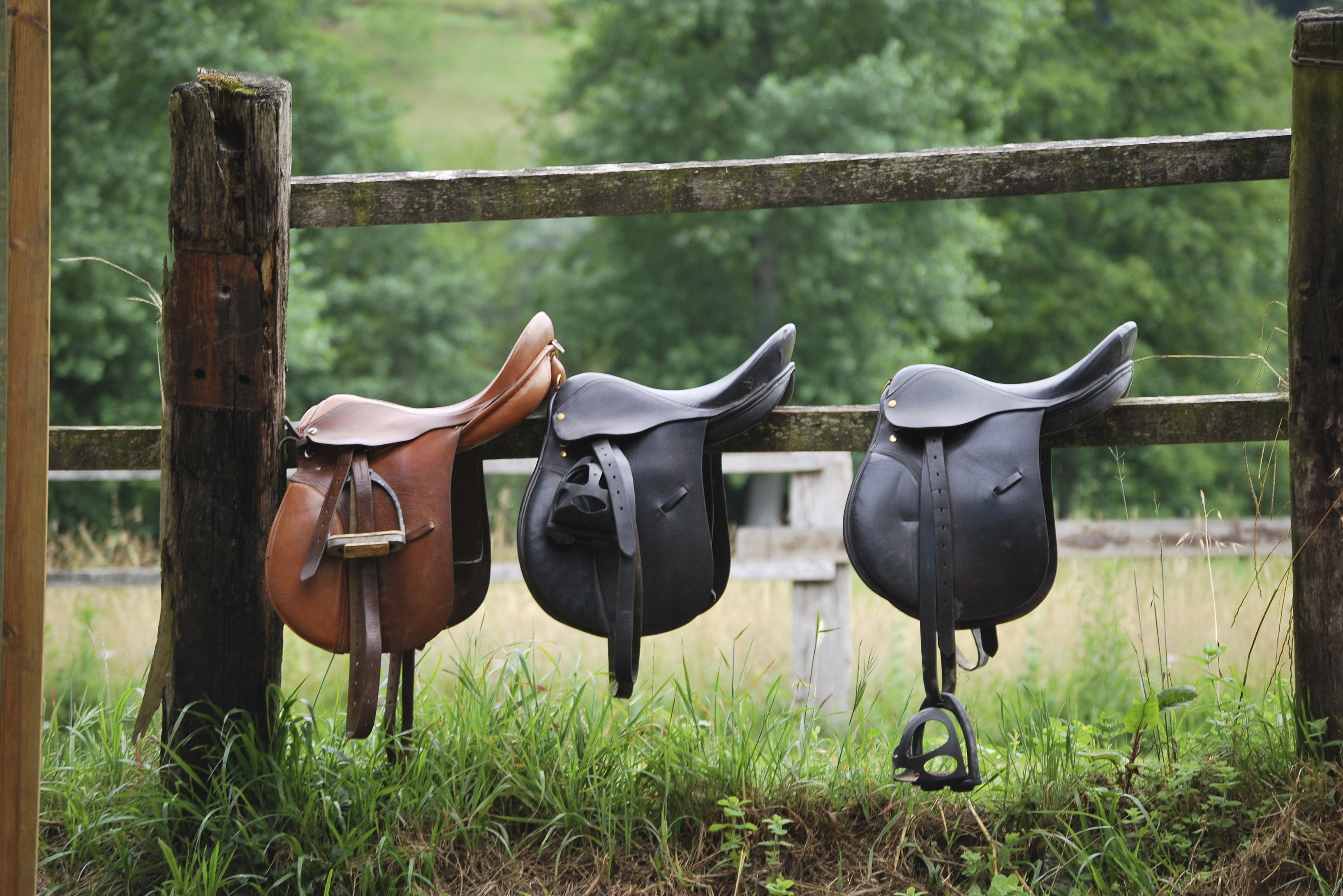 Ranch in Texas Montana