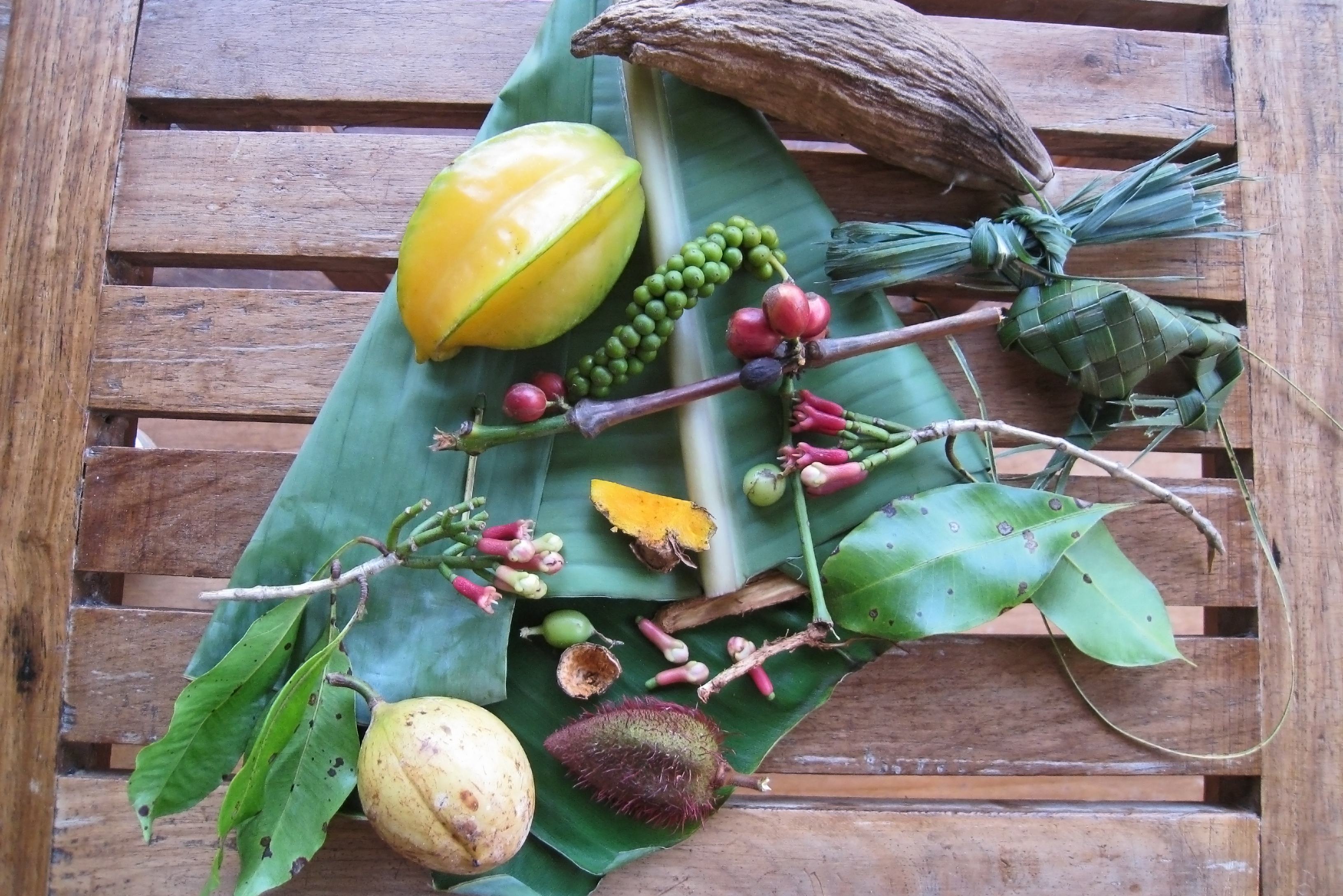 Kruiden en specerijen op Zanzibar