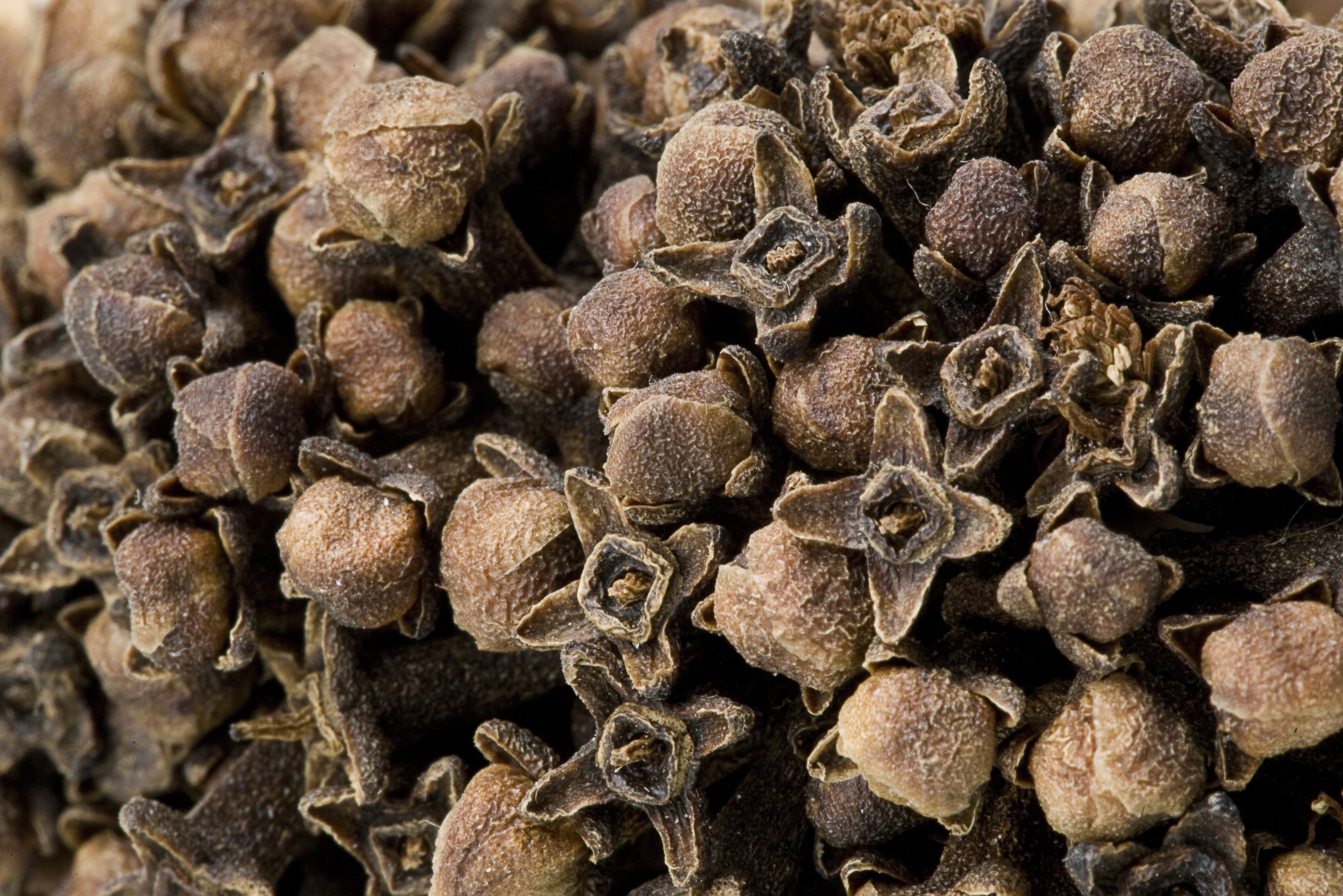 Kruiden en specerijen op Zanzibar