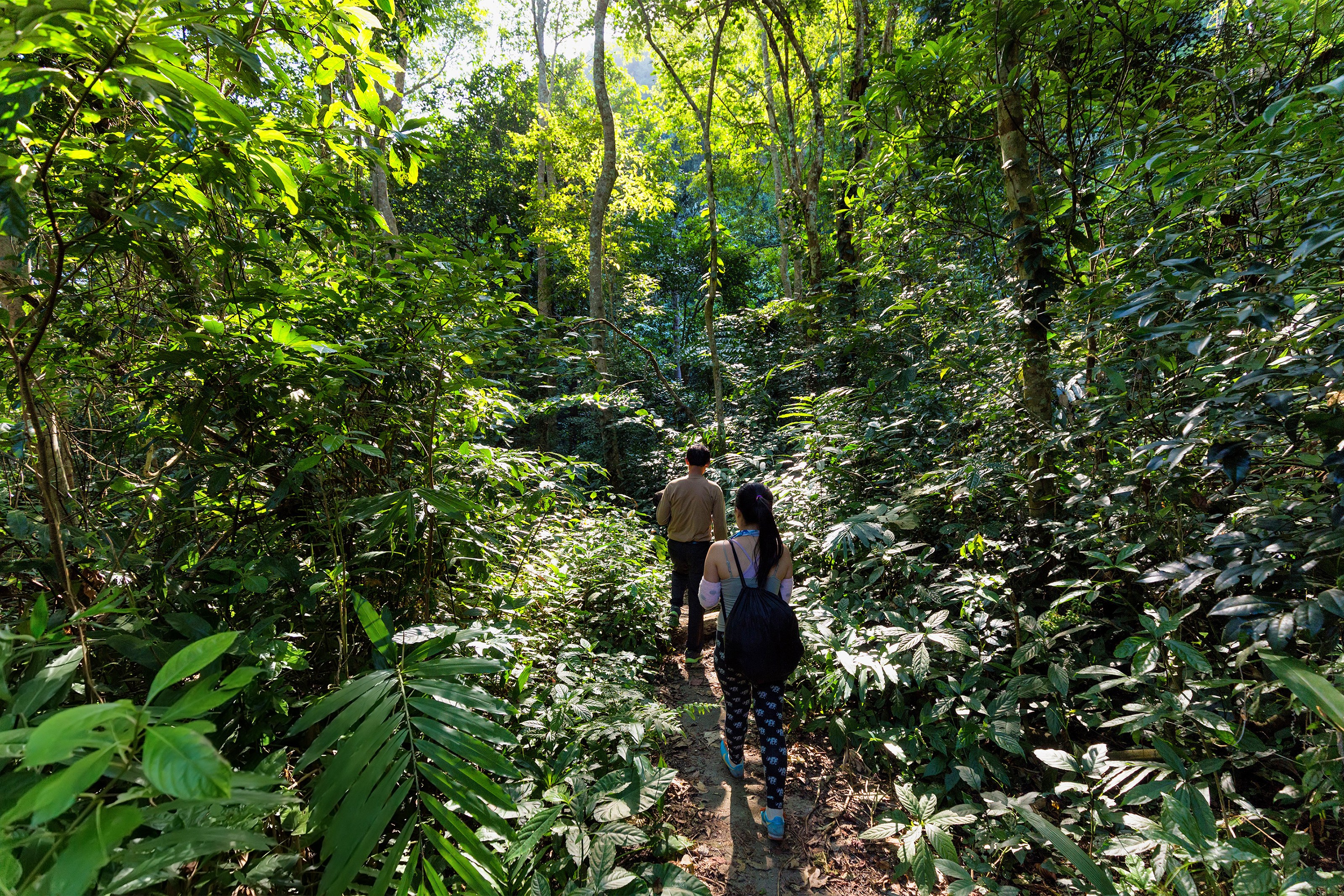 Wandeling door de jungle van Cat Ba Island in Vietnam