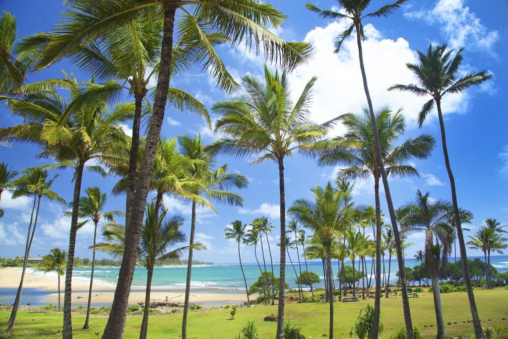 Hilton Garden Inn Kauai Wailua Bay in Hawaii