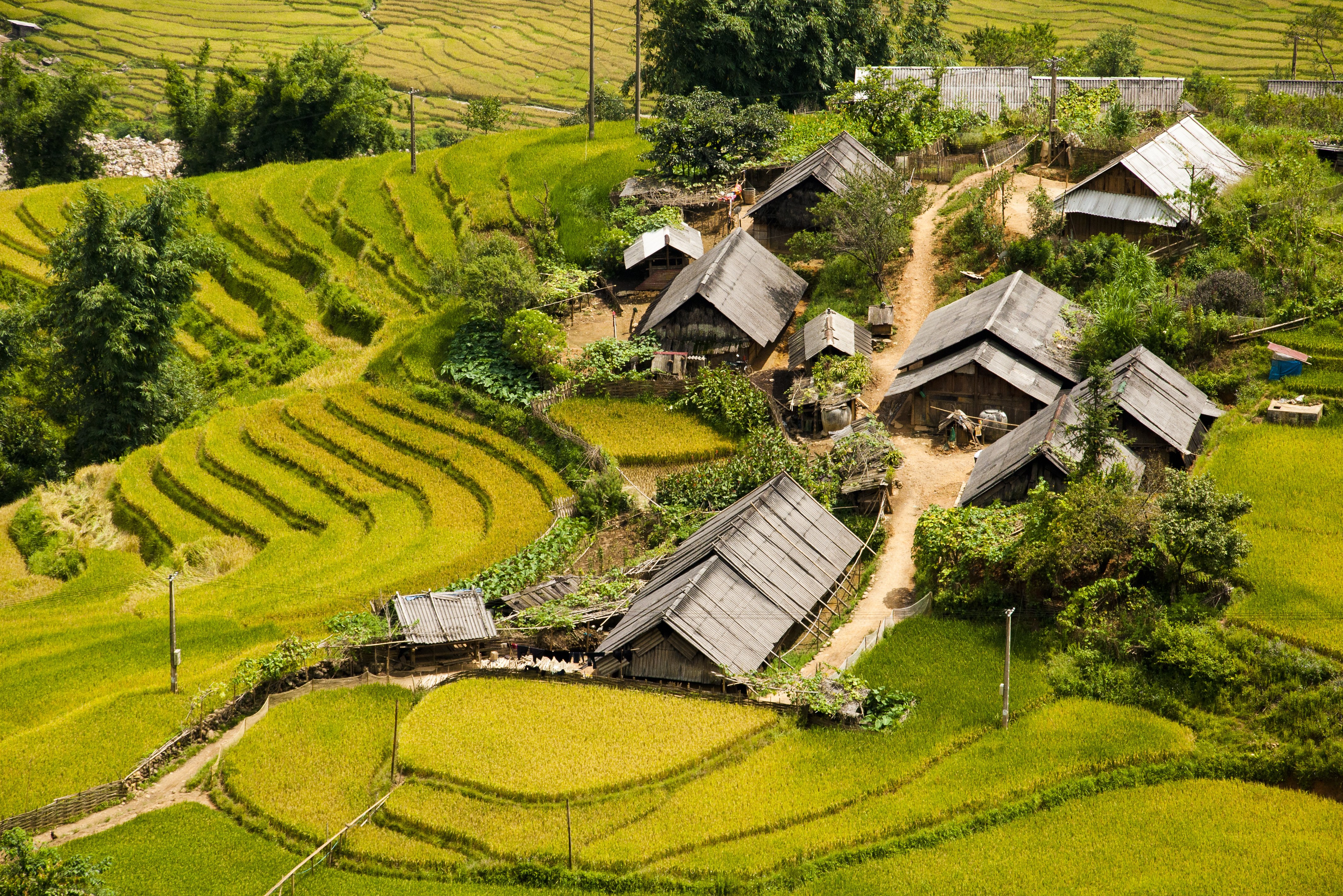 Dorpje tussen de rijstterrassen in de regio van Sapa, Vietnam