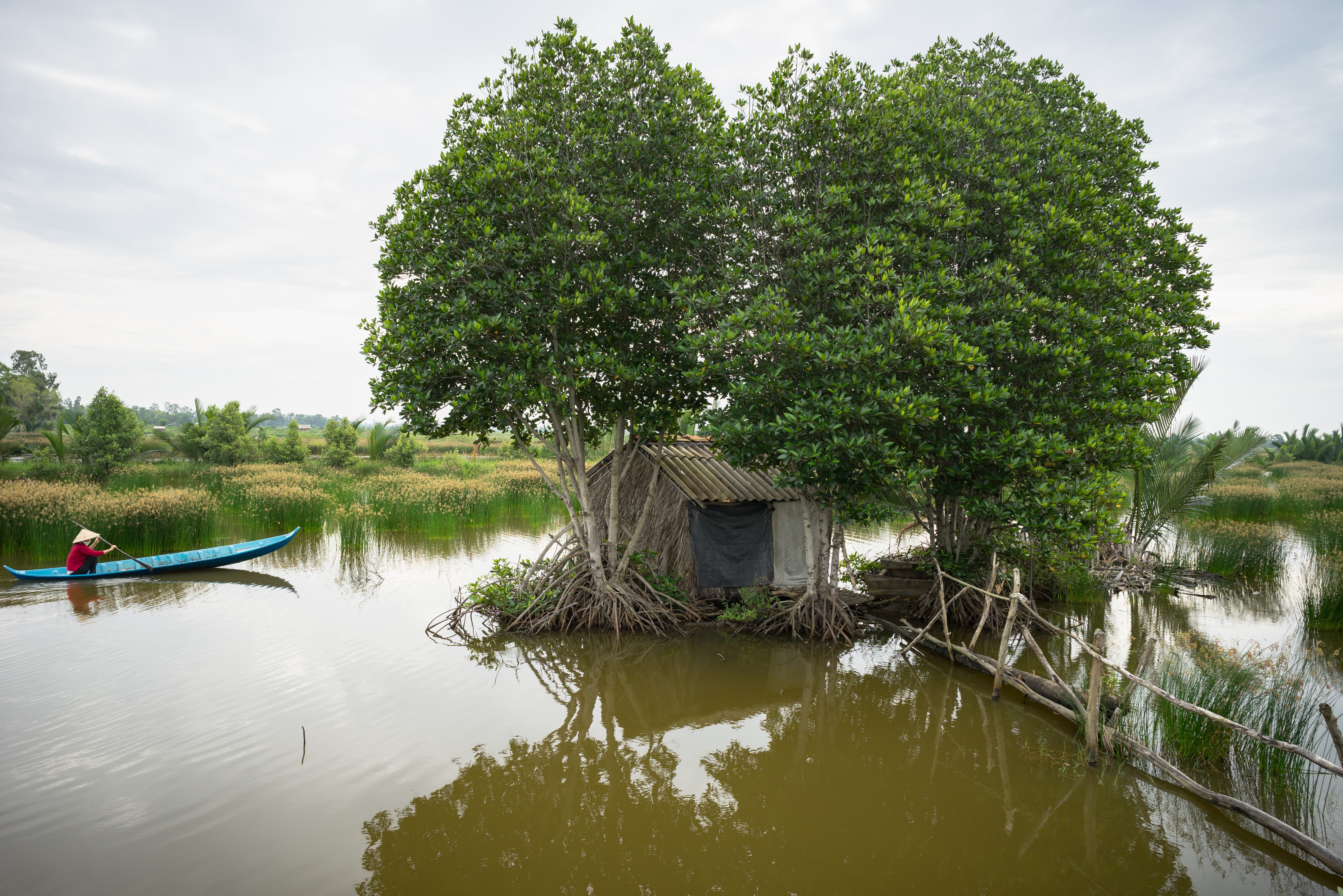 Landschap in de Mekong Delta in Vietnam