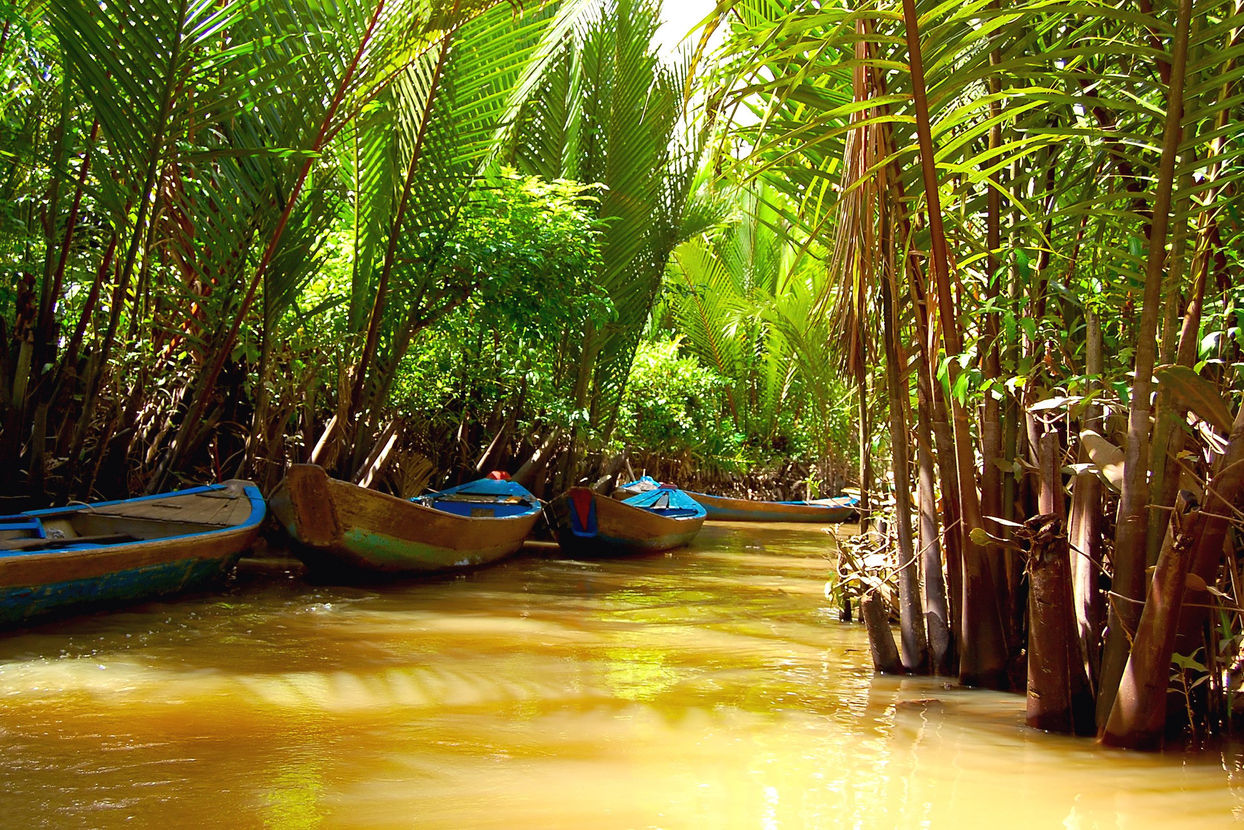 Varen door de kanaaltjes in de Mekong Delta in Vietnam