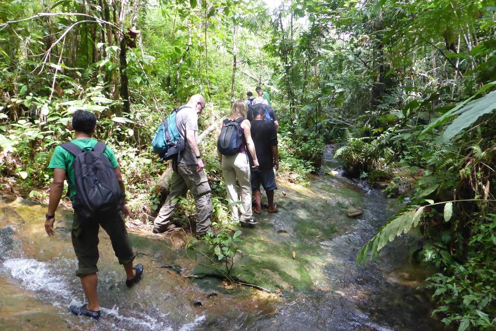 Jungle trekking in het Gunung Leuser National Park op Sumatra