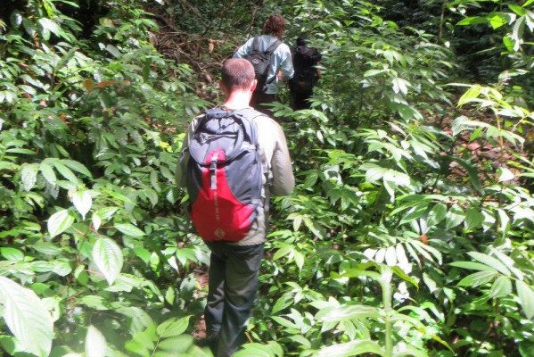 Trekking in Gunung Leuser National Park op Sumatra