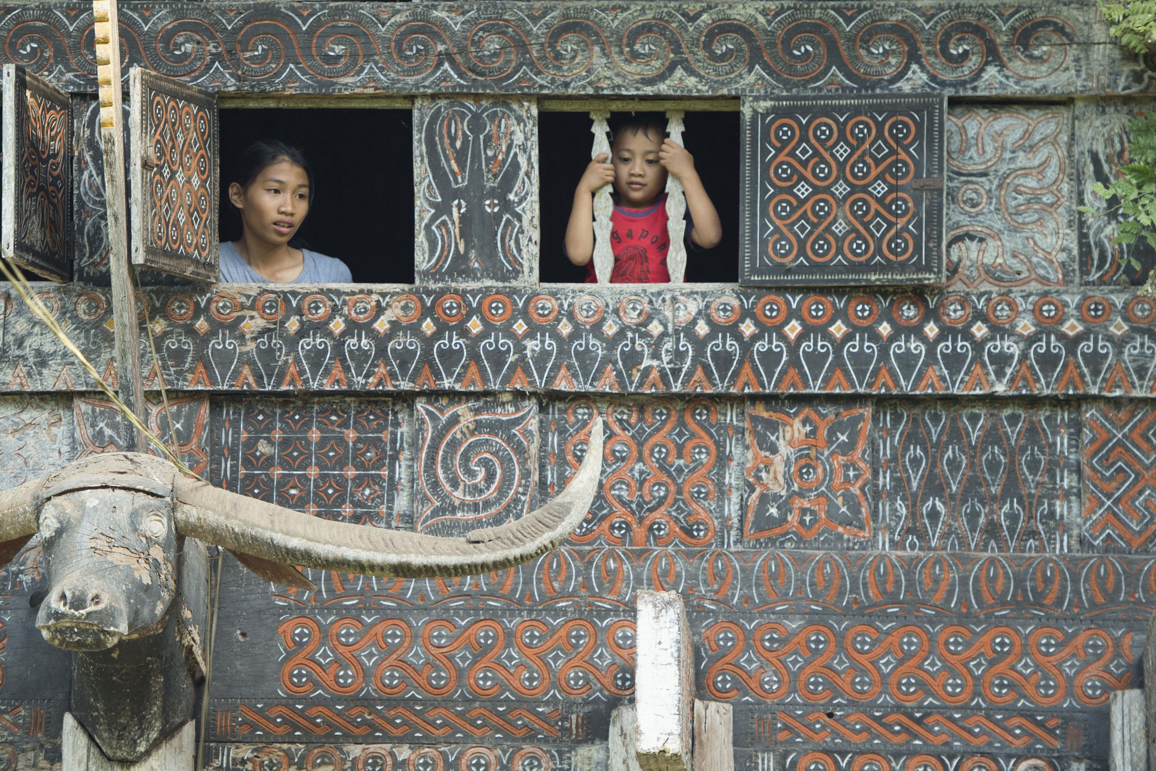 Versierd huis Toraja hoogland Sulawesi