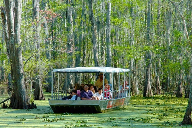 Swamps en bayou boottocht bij New Orleans in Amerika