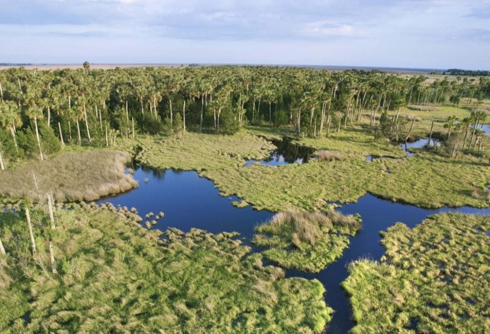 Everglades Safari Park Tour plus airboat tocht