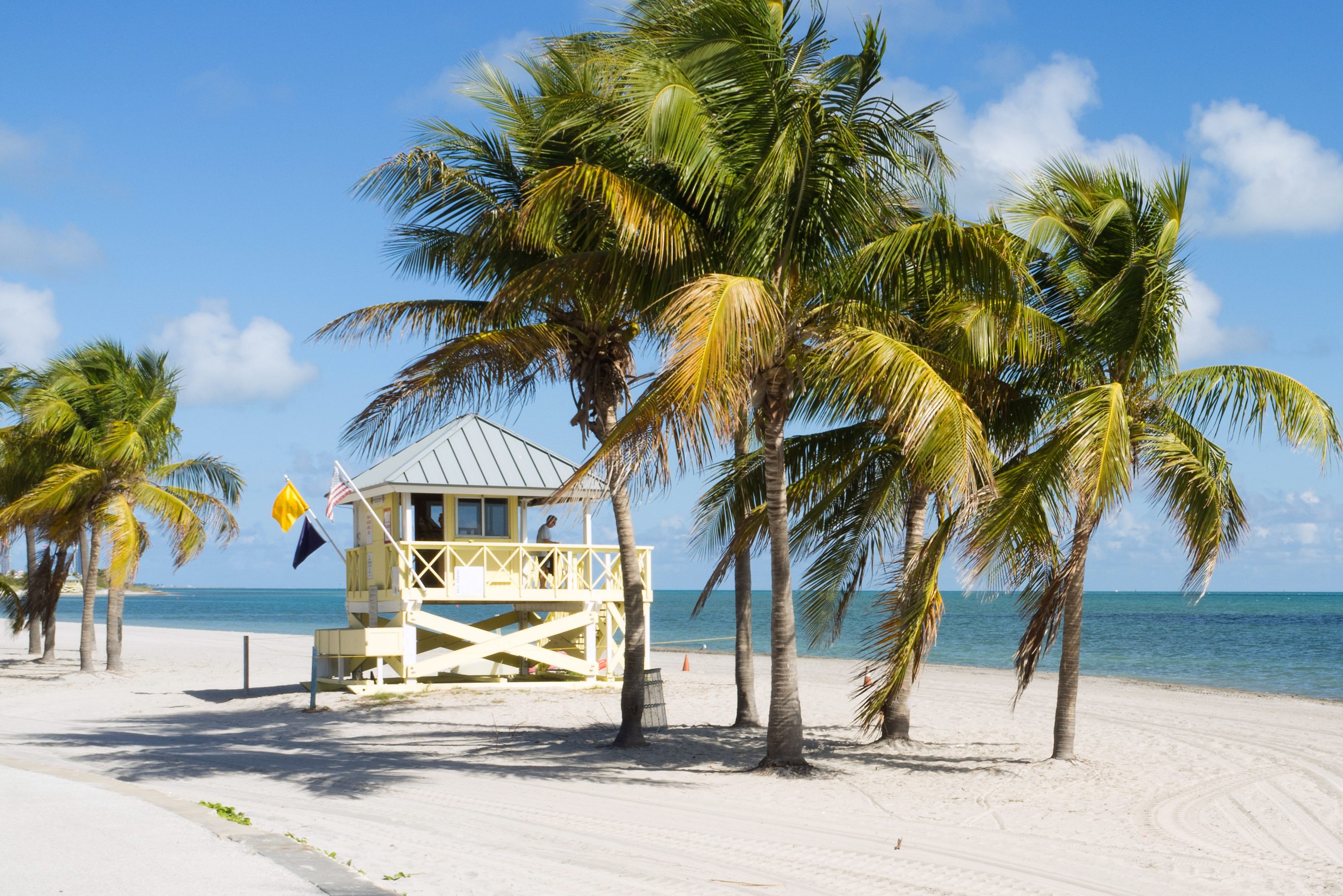 Crandon Park Beach in Miami Florida