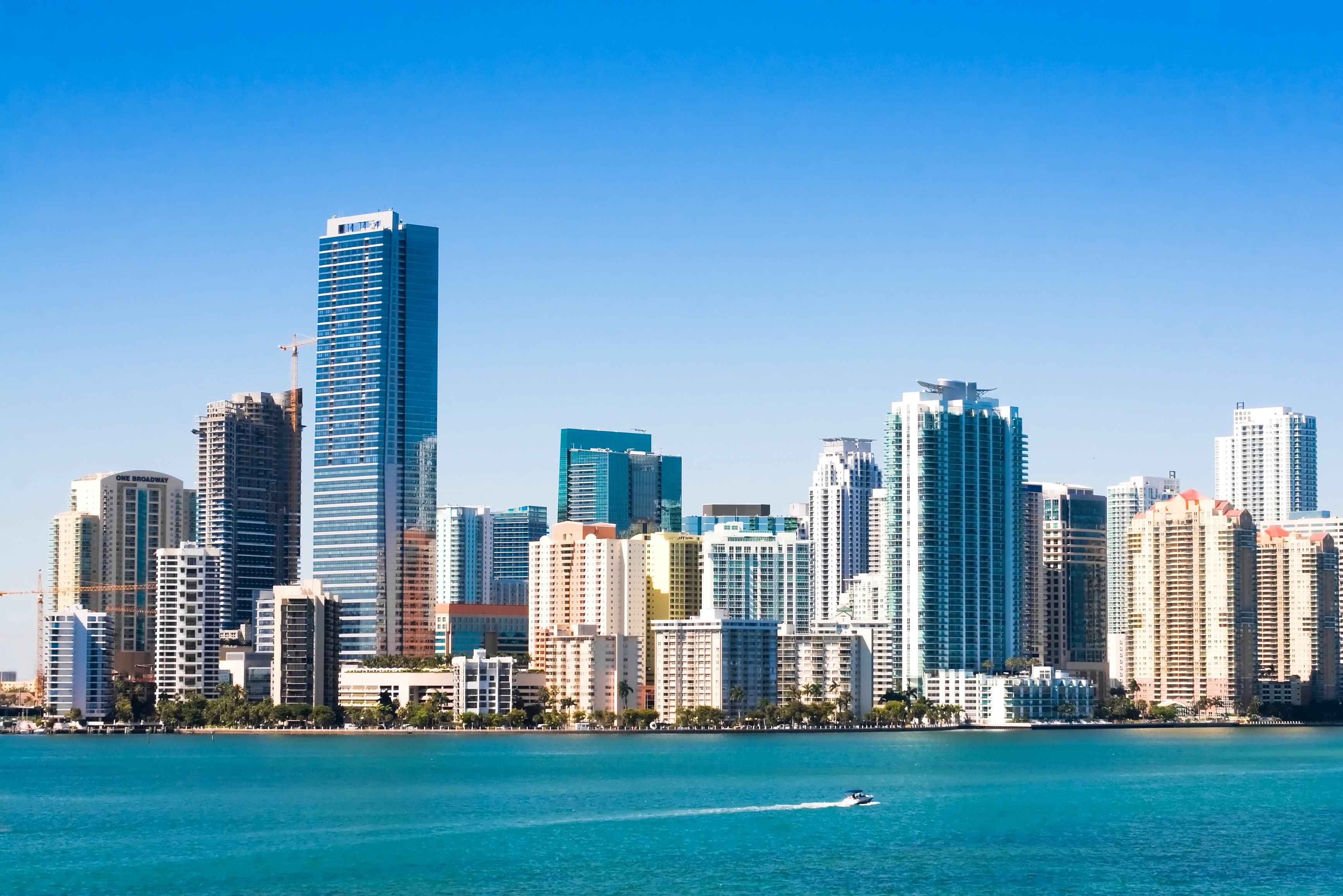 Damas De Compañia En Miami Florida