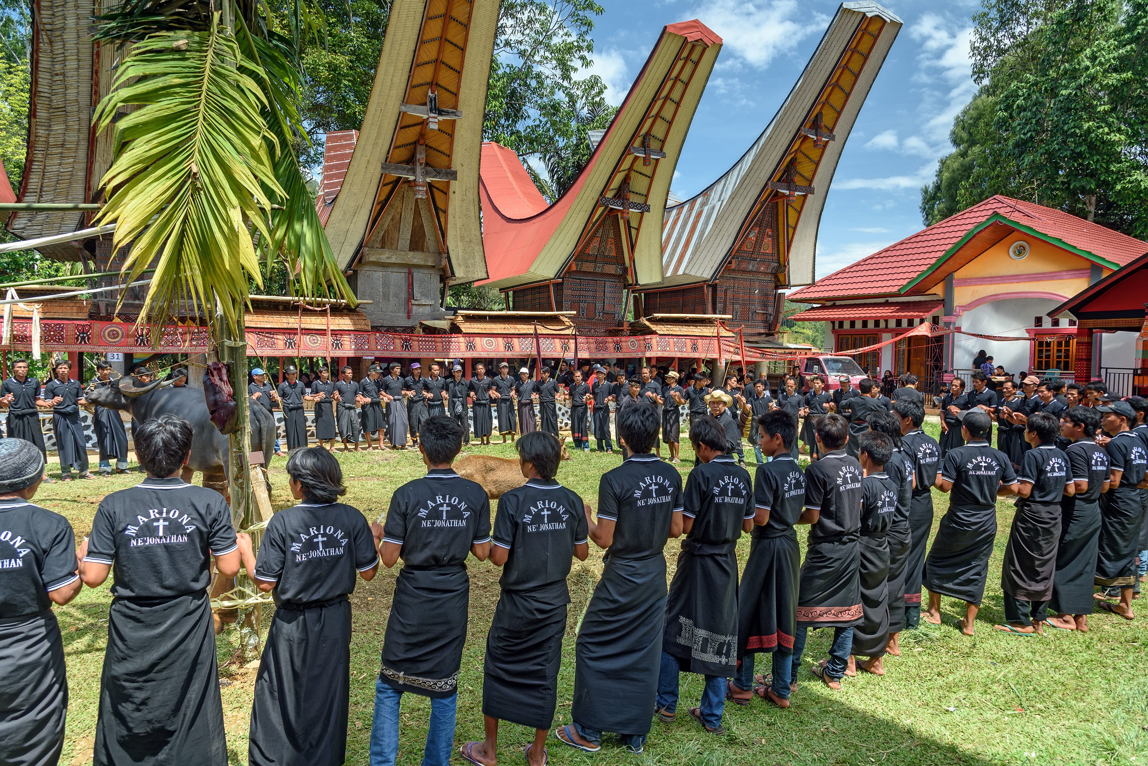 Begrafenis ceremonie in het Toraja Hoogland op Sulawesi