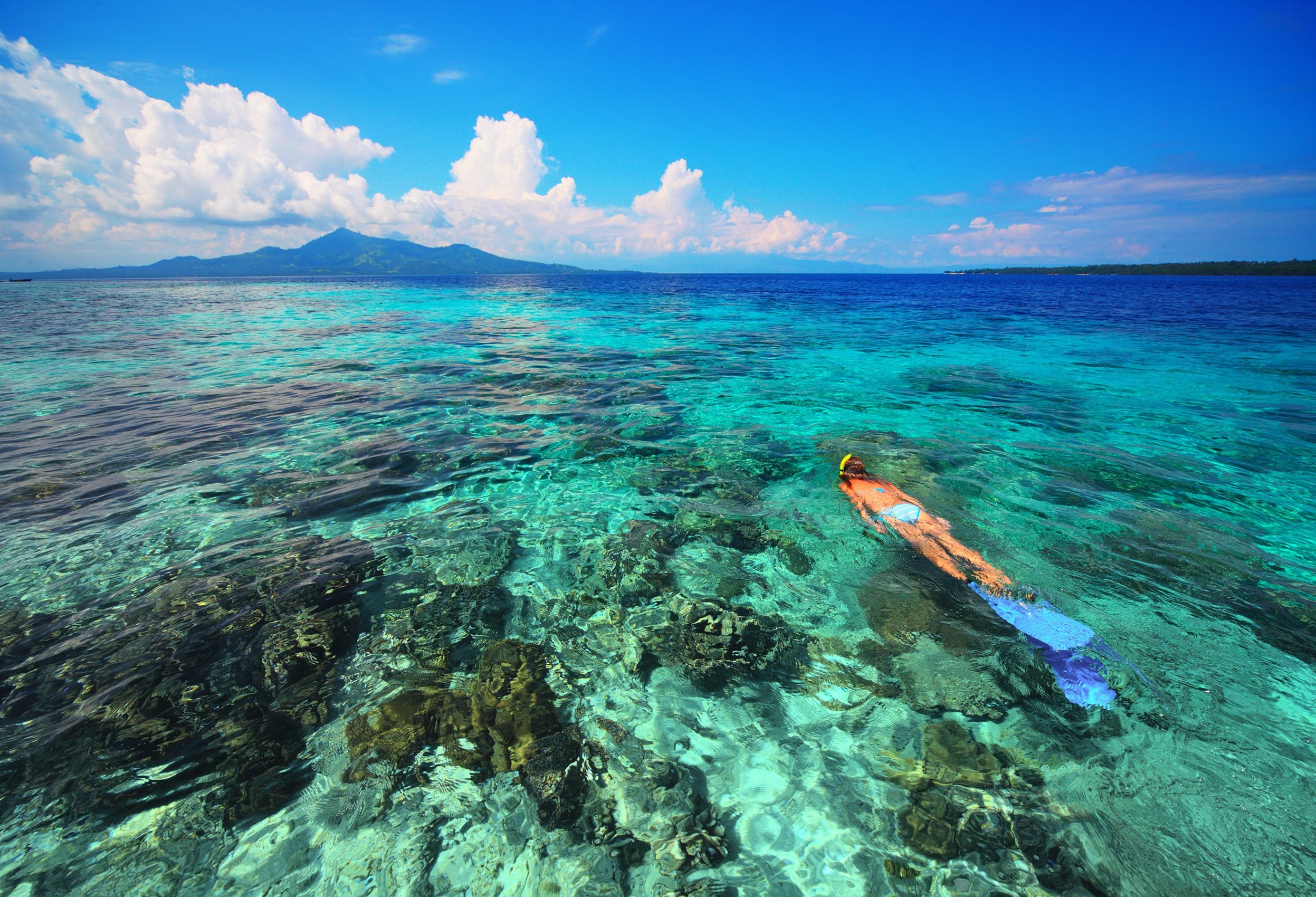 Snorkelen bij Bunaken op Sulawesi