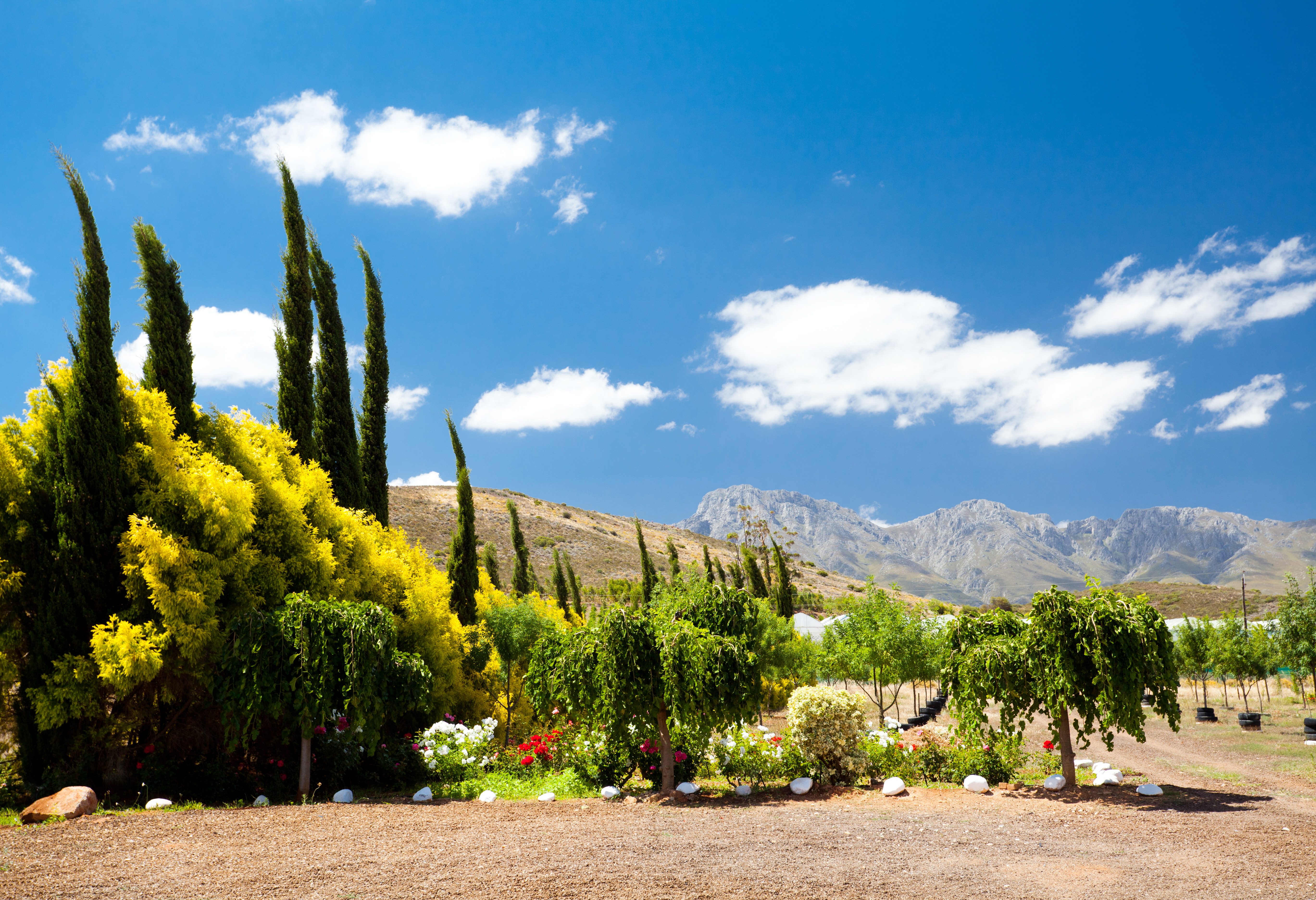 Route 62 in Zuid-Afrika