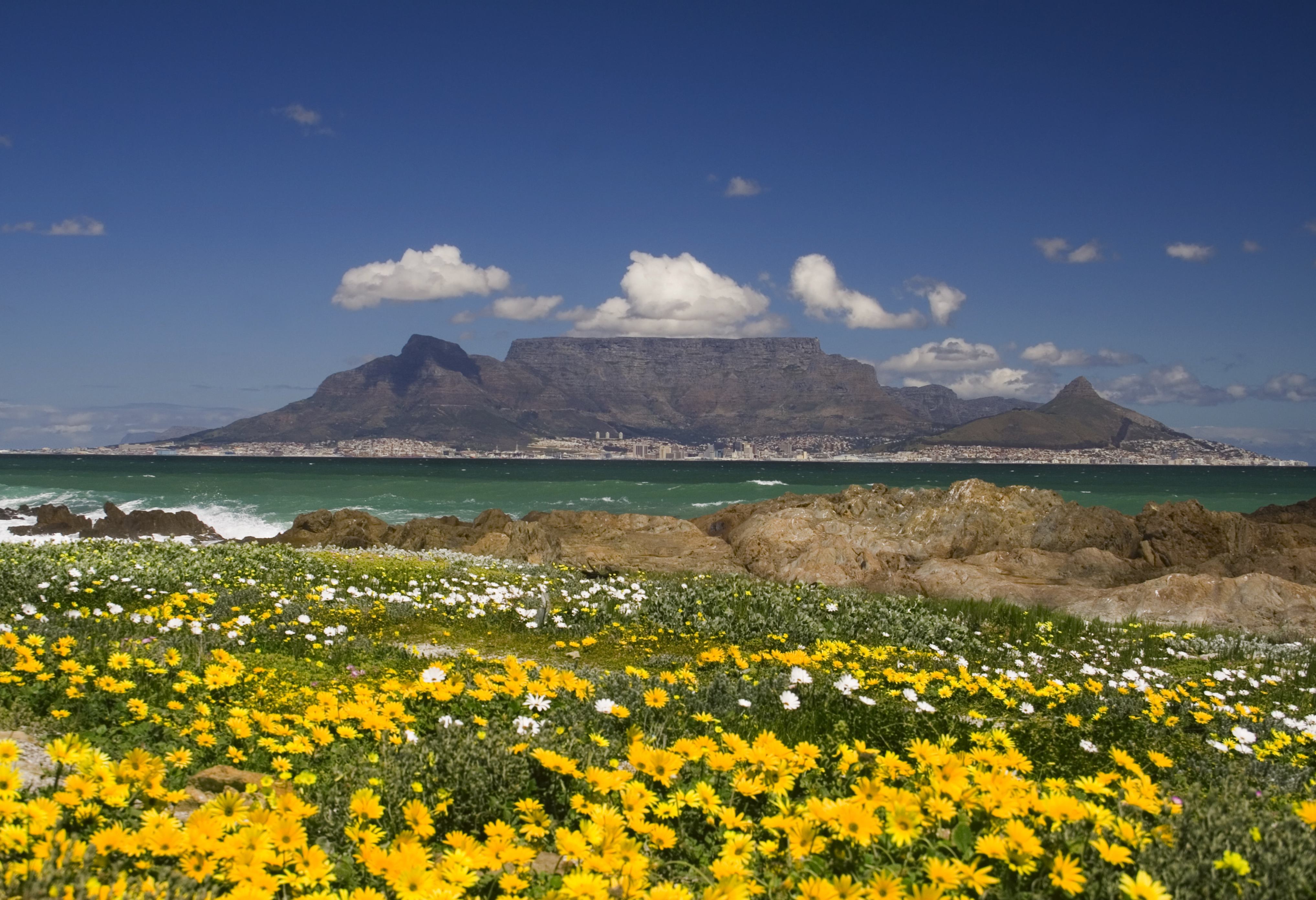 Tafelberg in Kaapstad Zuid-Afrika