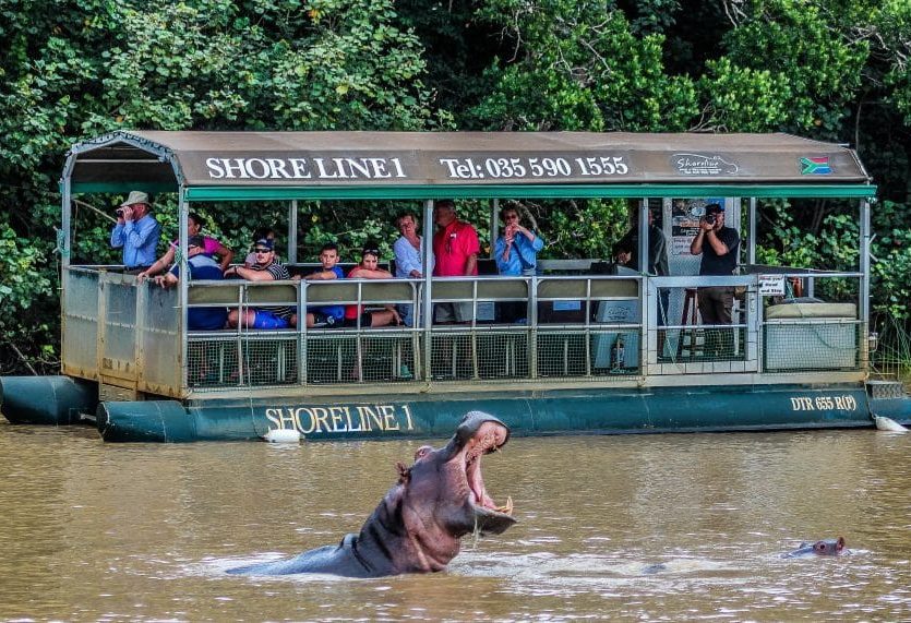Nijlpaard tijdens boottocht in St. Lucia