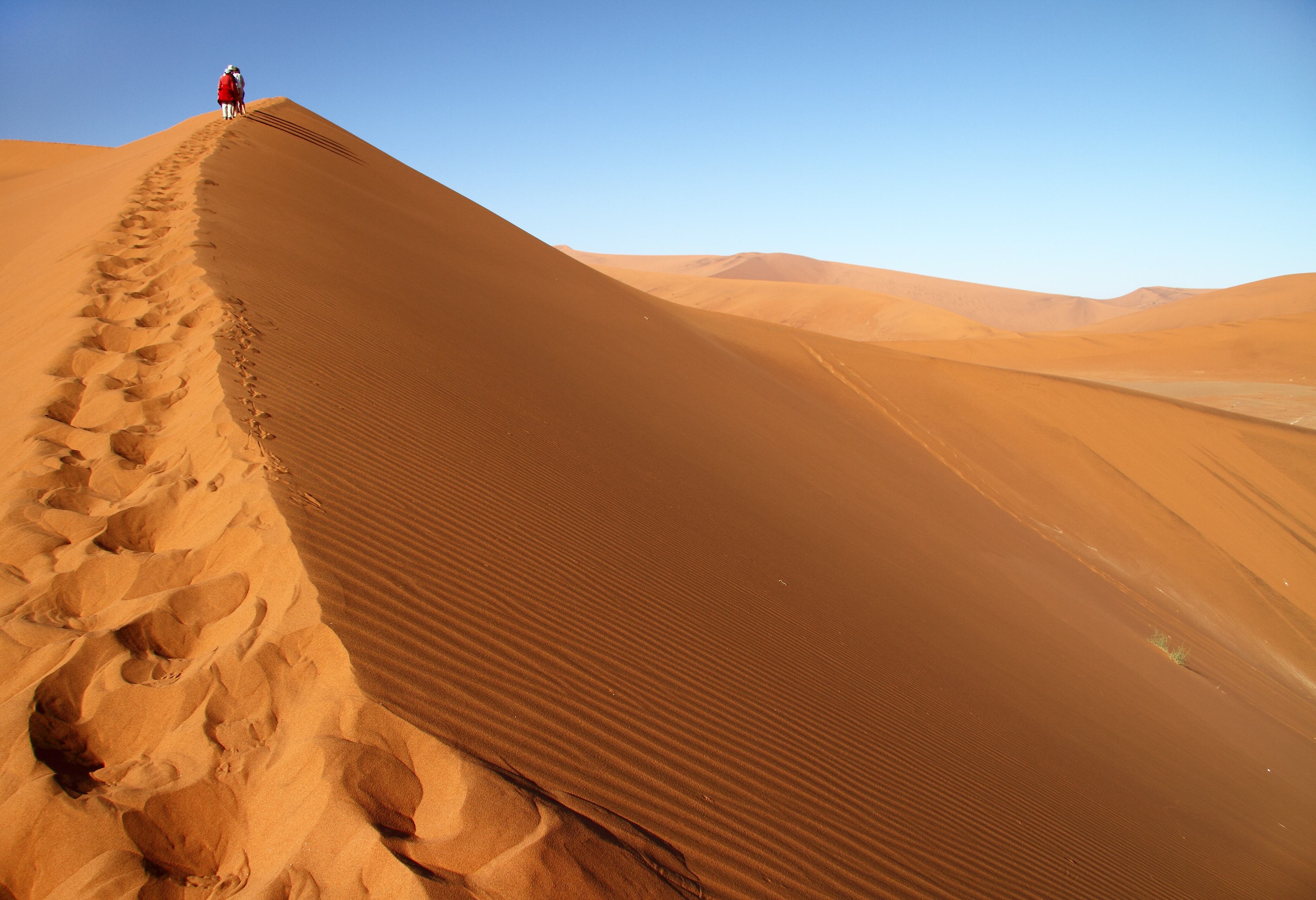 Dune 45 in Sossusvlei desert in Namibie
