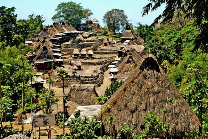 Bena traditioneel dorp op Flores
