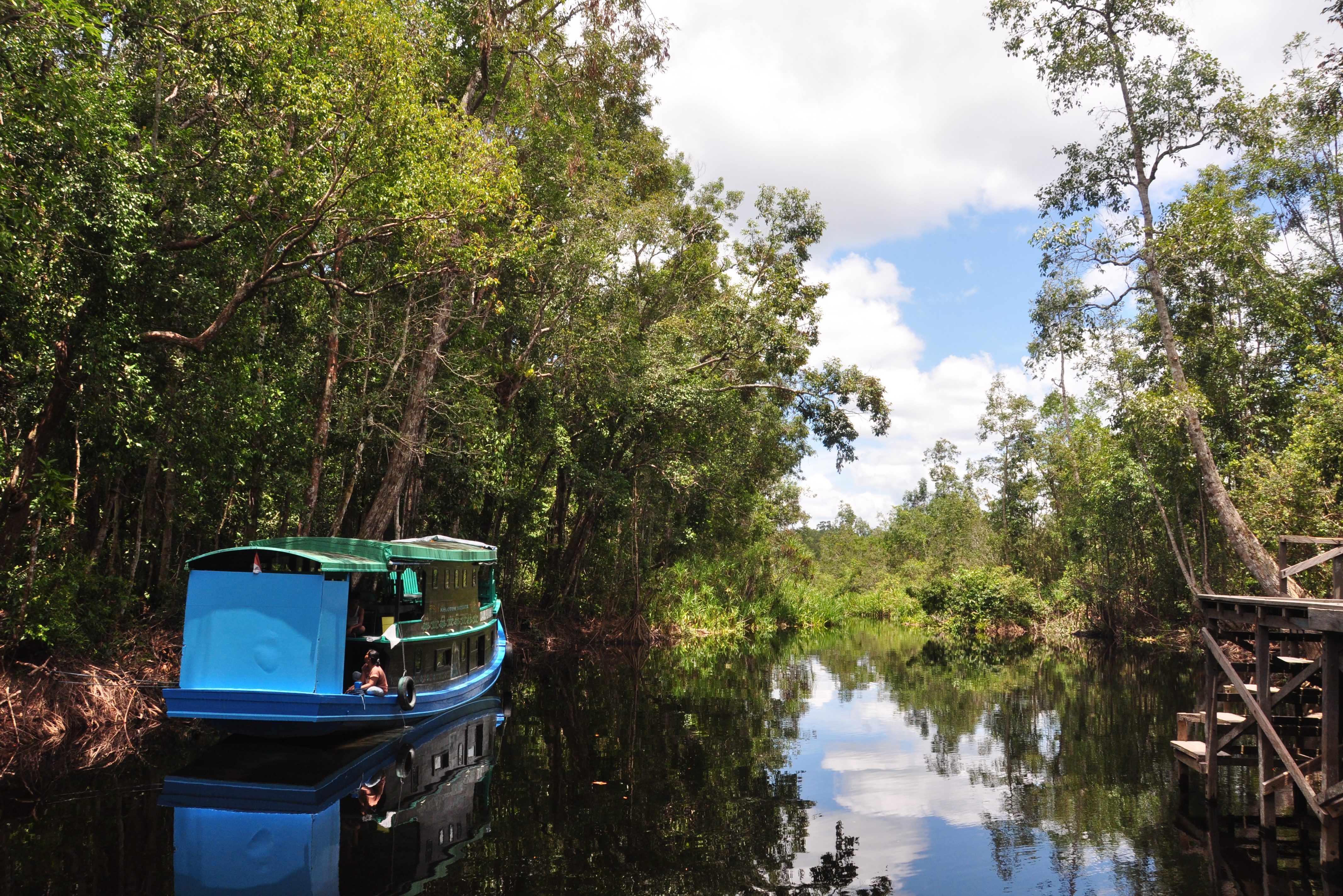 Klotok boot in Tanjung Puting Kalimantan