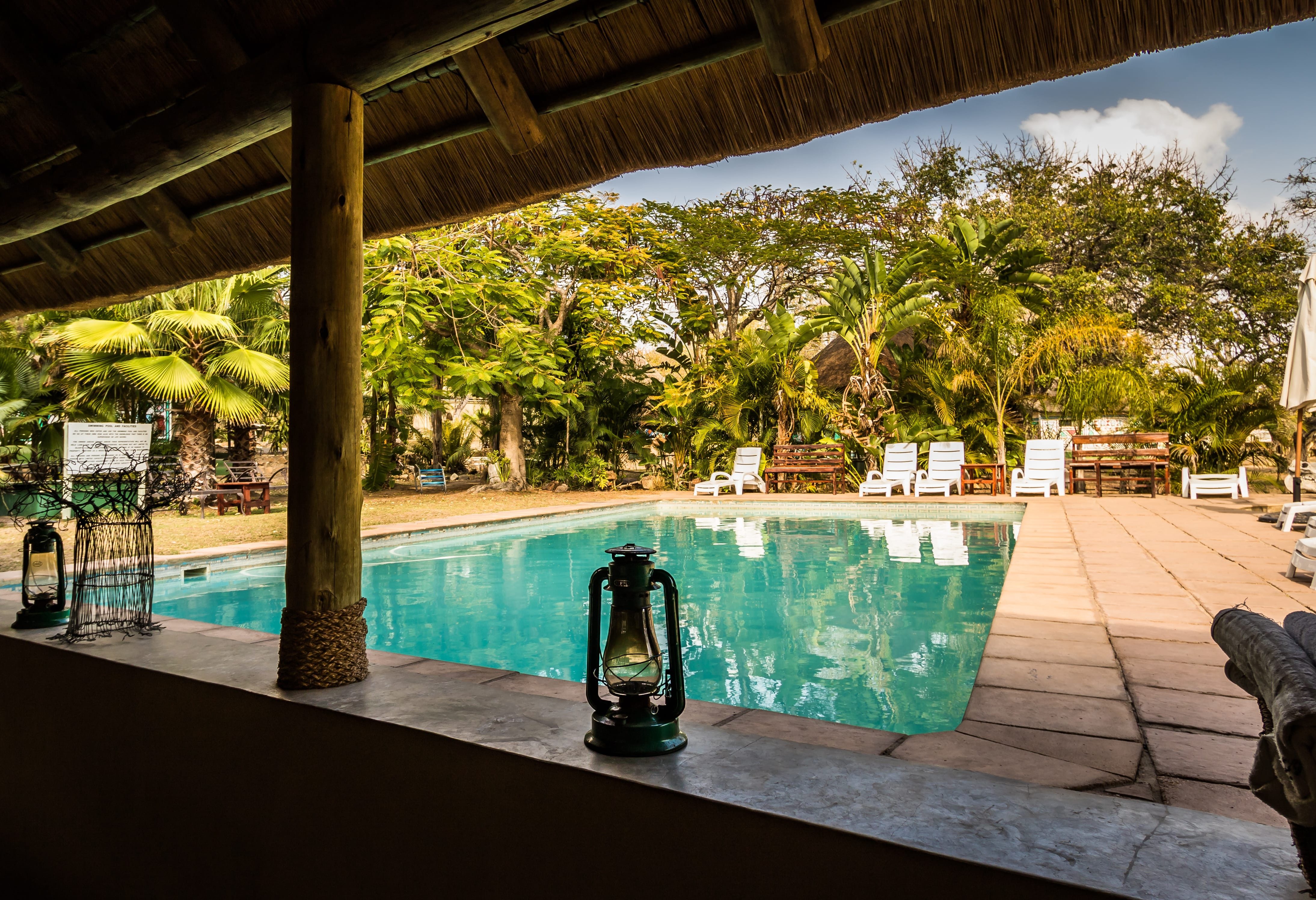 Zwembad bij Timbavati Safari Lodge