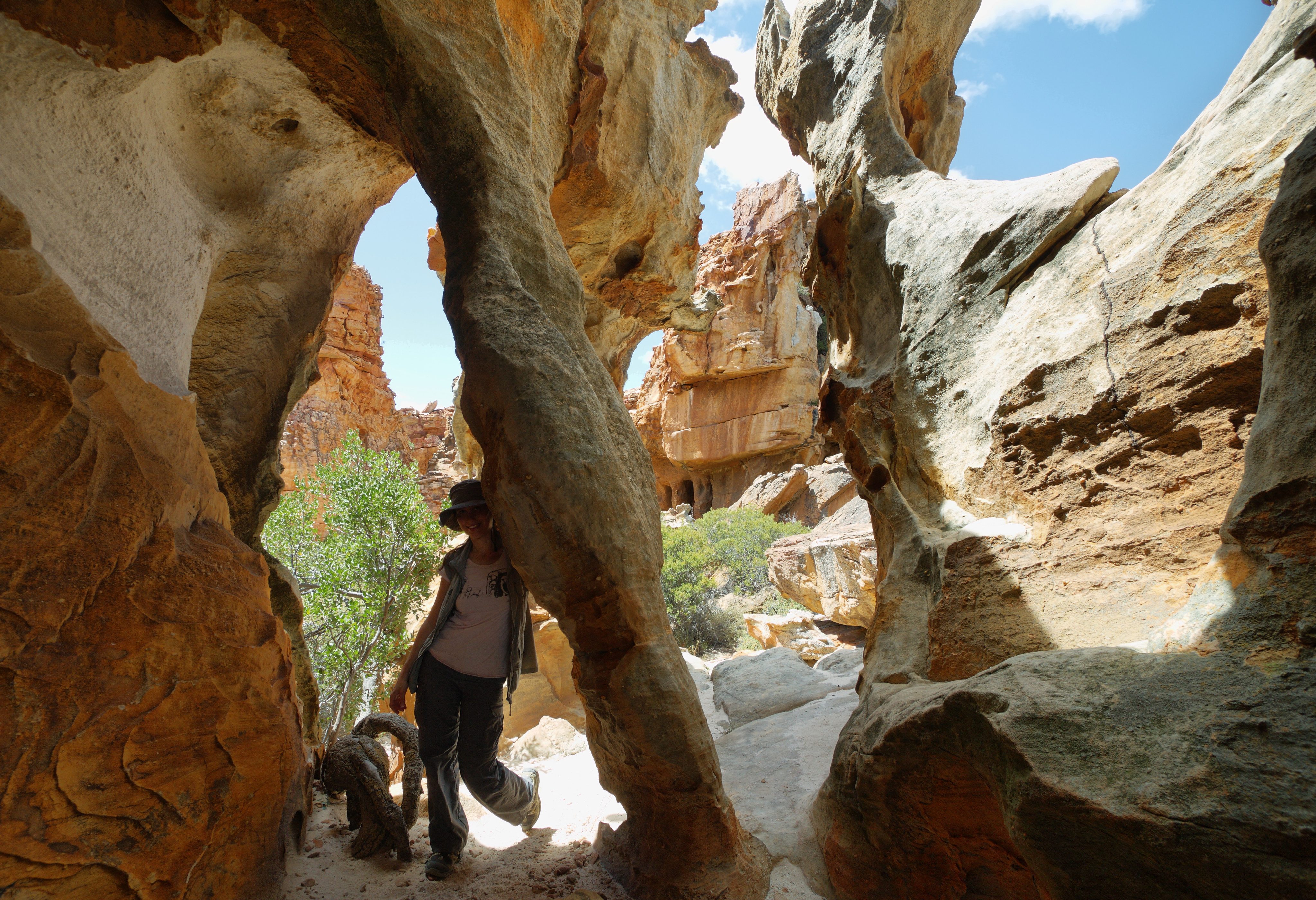Cederbergen in Zuid-Afrika