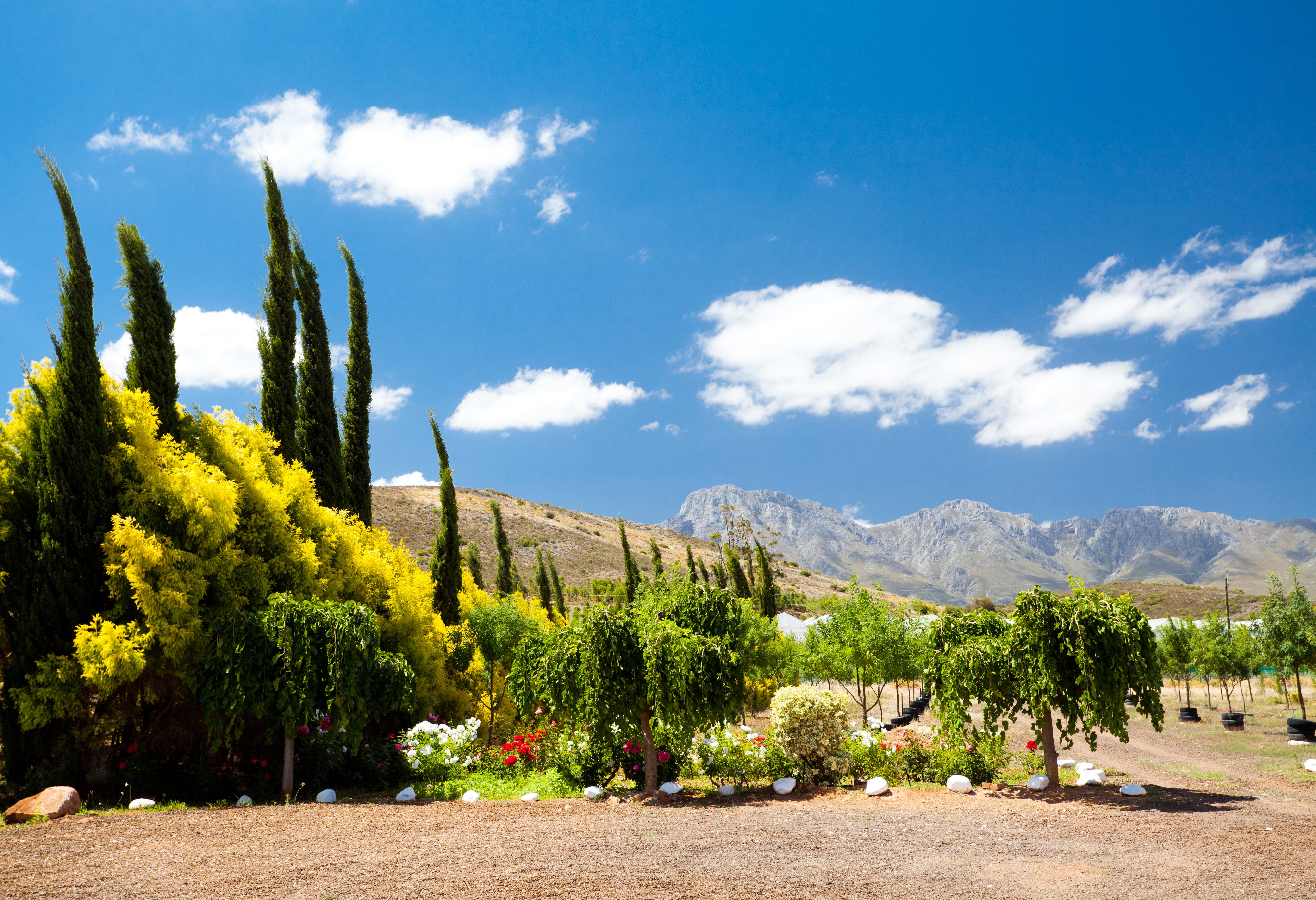 Landschap bij Montagu in Zuid-Afrika