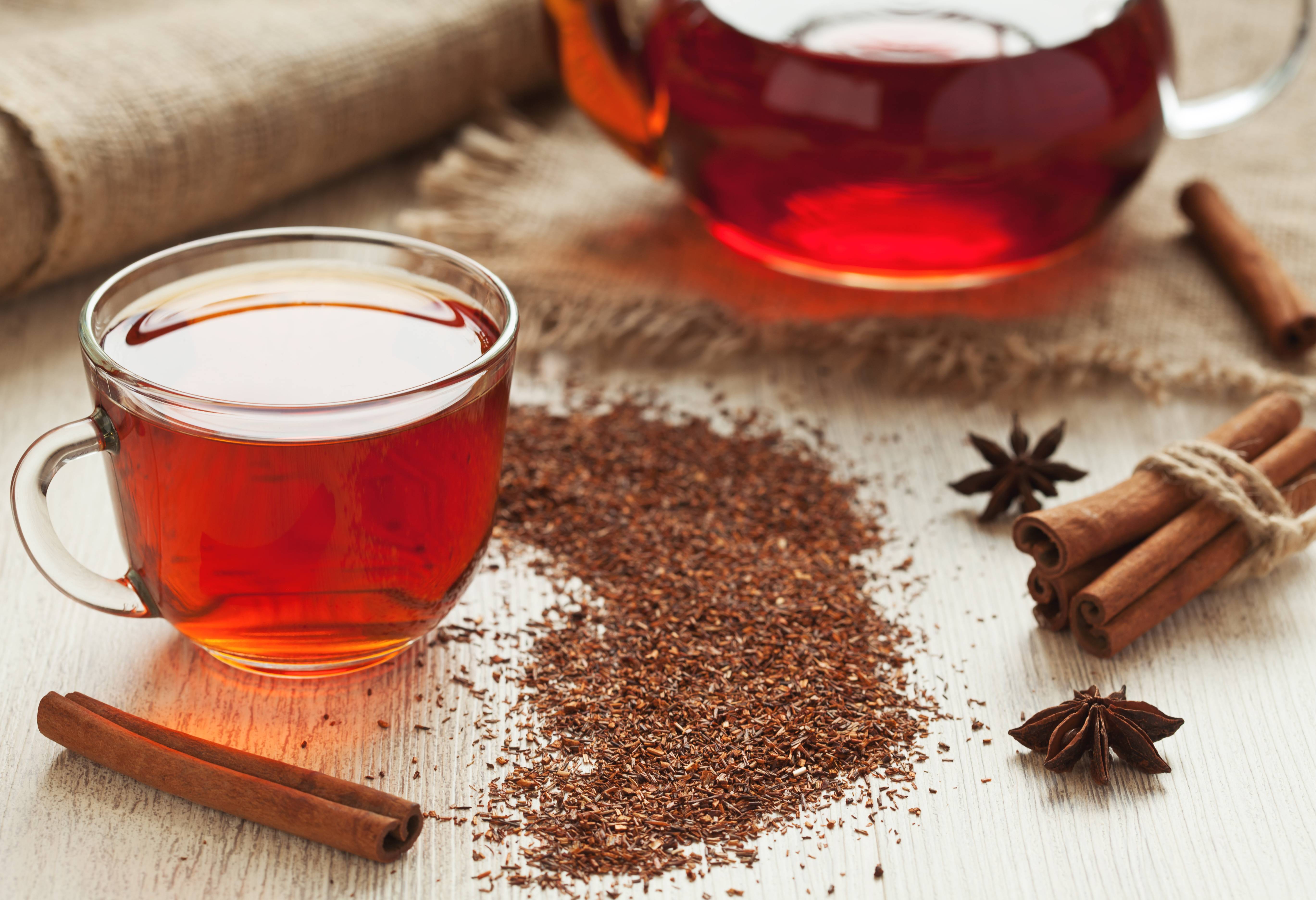 rooibos thee in Clan William in Zuid-Afrika