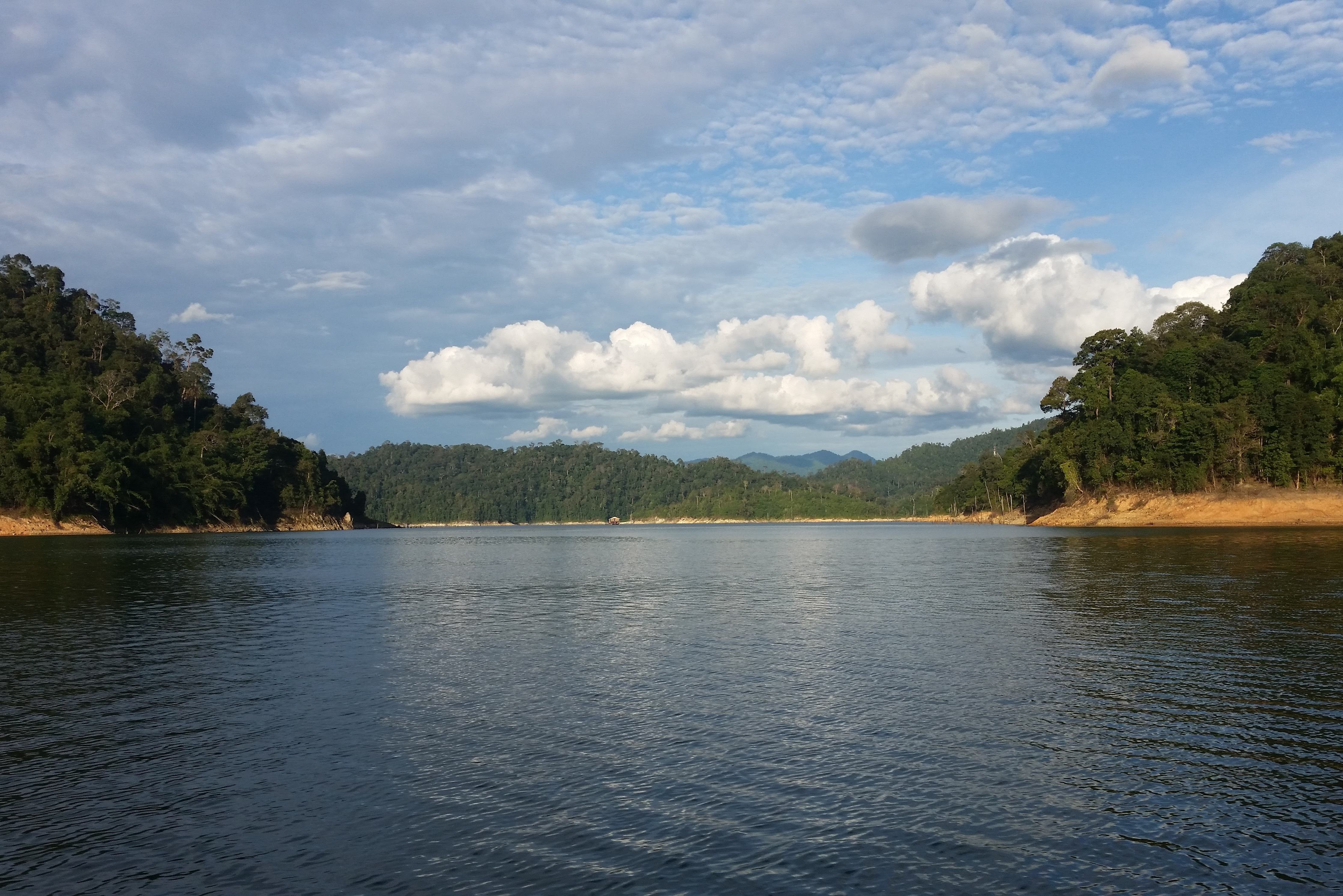 Natuur in Belum Rainforest Reserve Maleisië