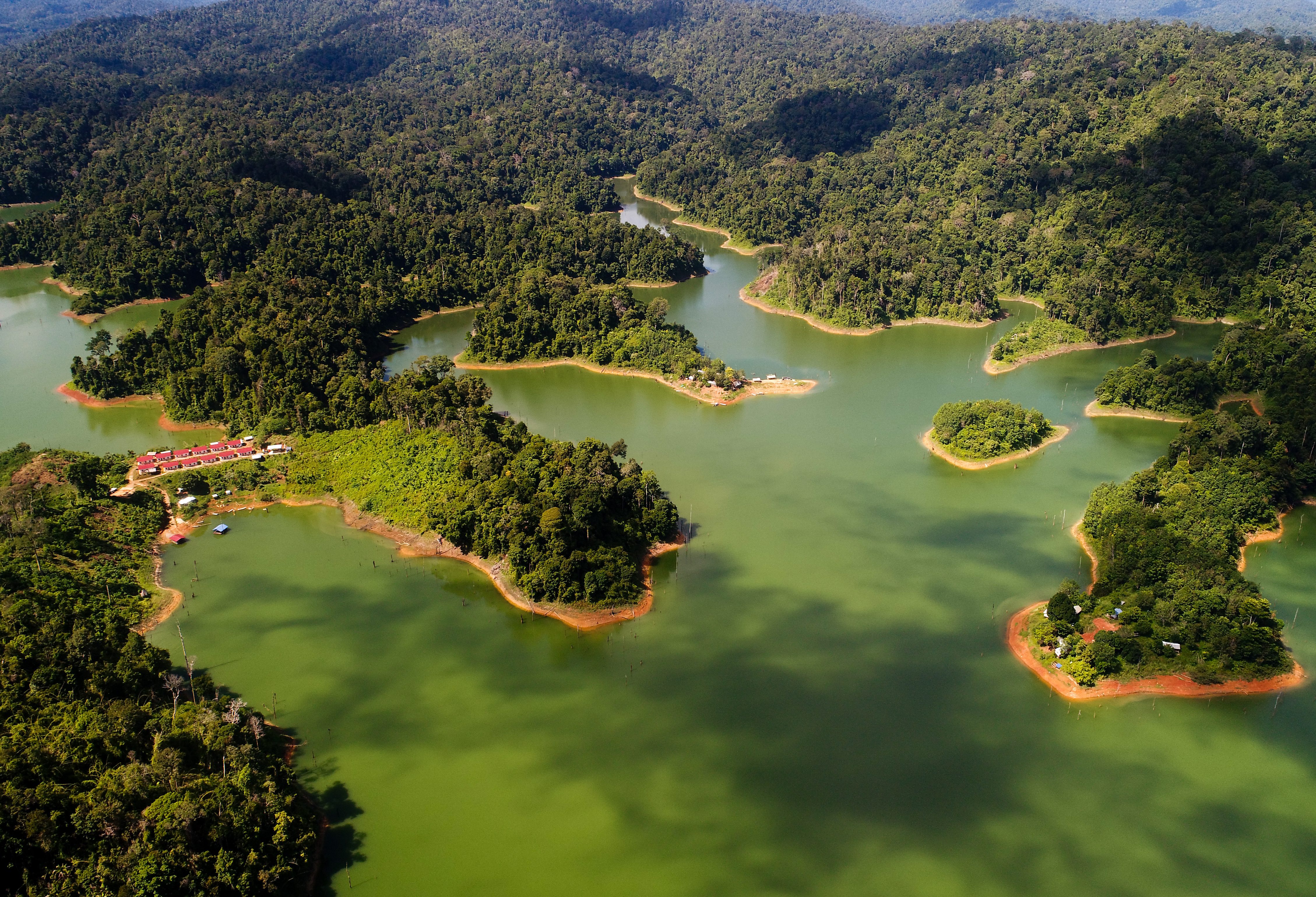 Jungle van Belum Rainforest Reserve Maleisië