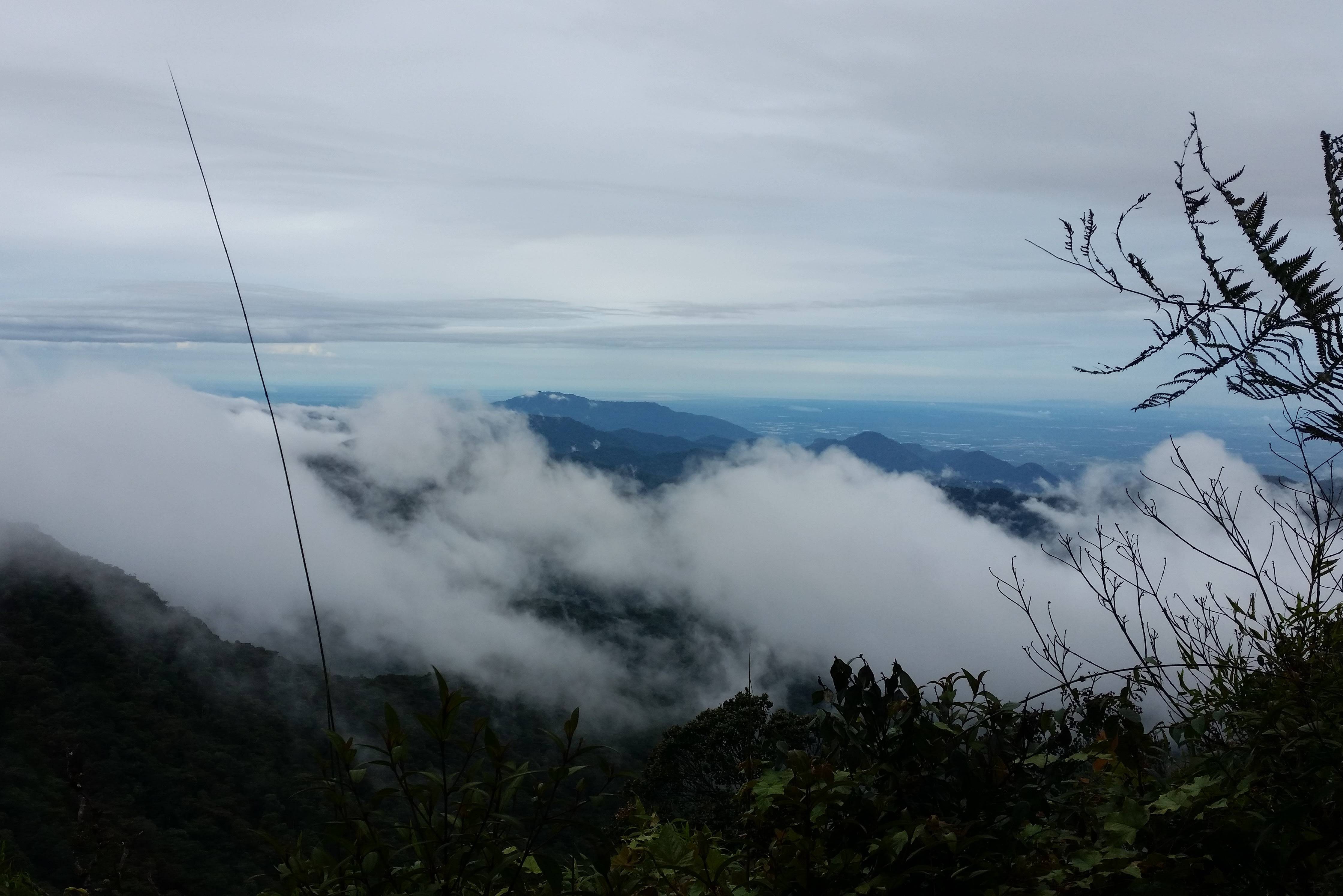 Uitzicht Gunung Brinchang Cameron Highlands Maleisië