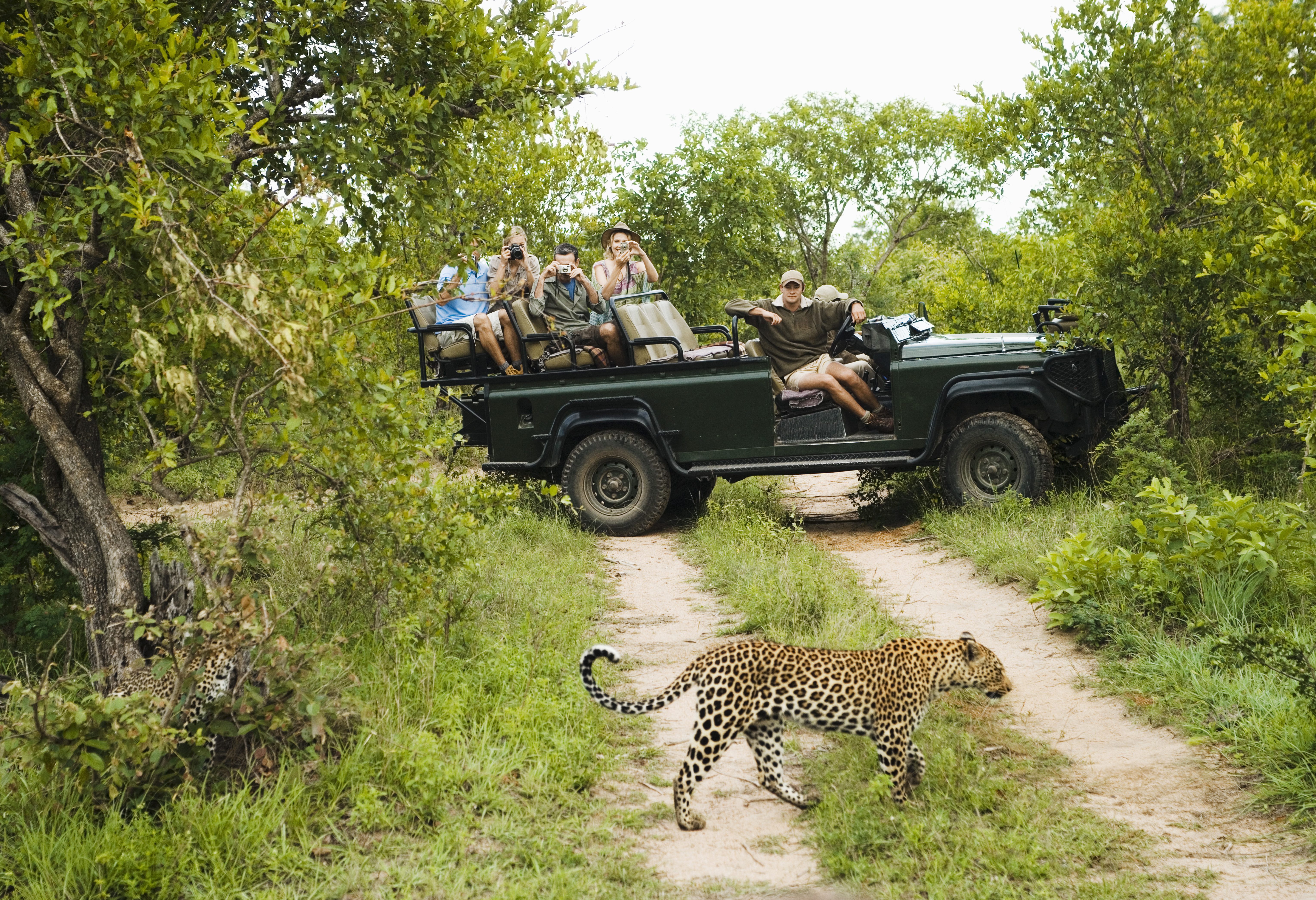 Game Drive in Kruger in Zuid-Afrika