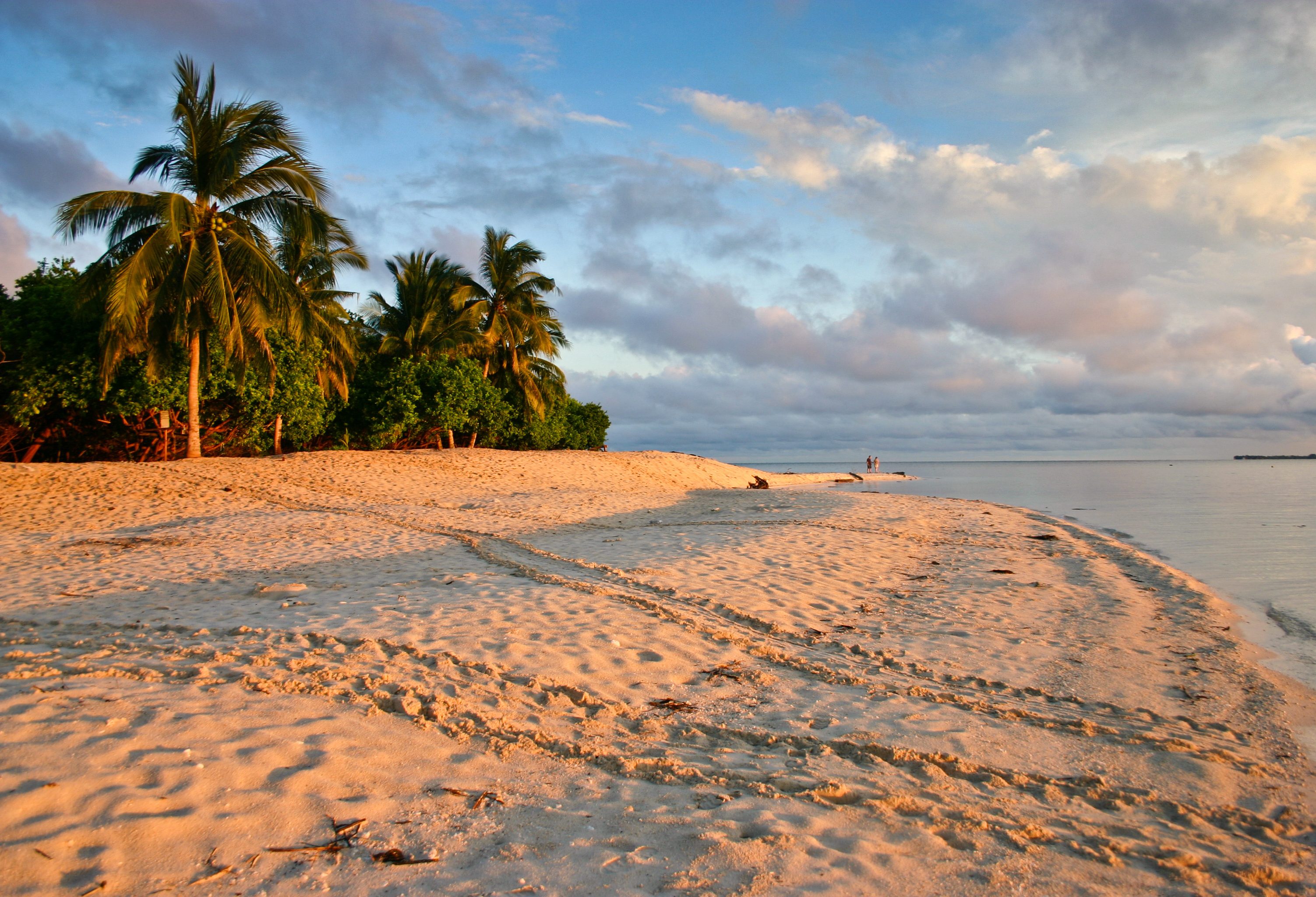 Pulau Selingan Turtle Island Sabah Borneo