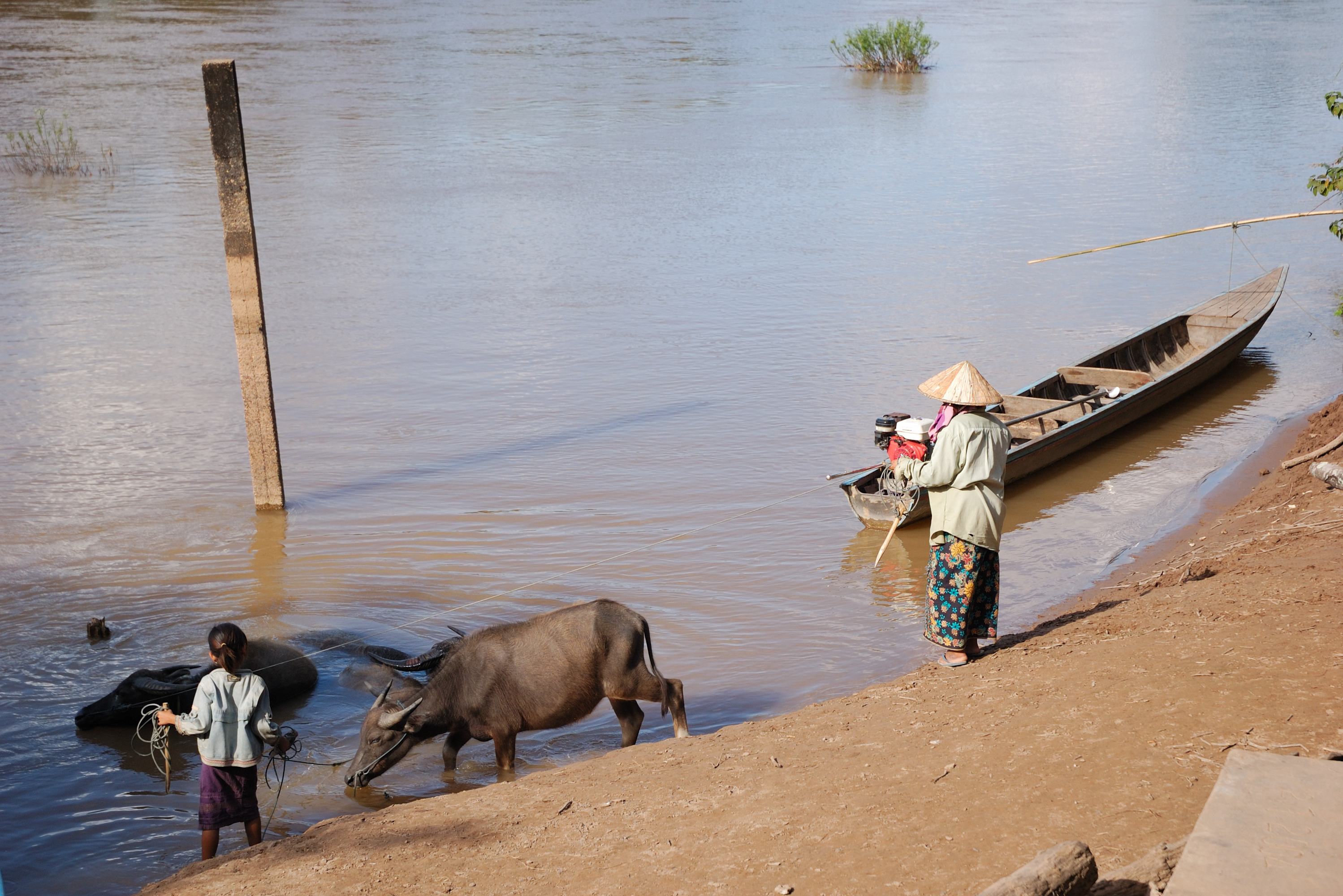 Lokale leven langs de rivier in Laos