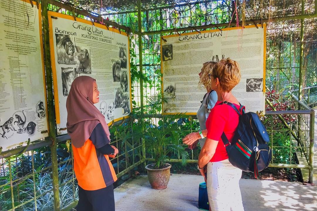 Maleisie Penang orang-oetan eiland