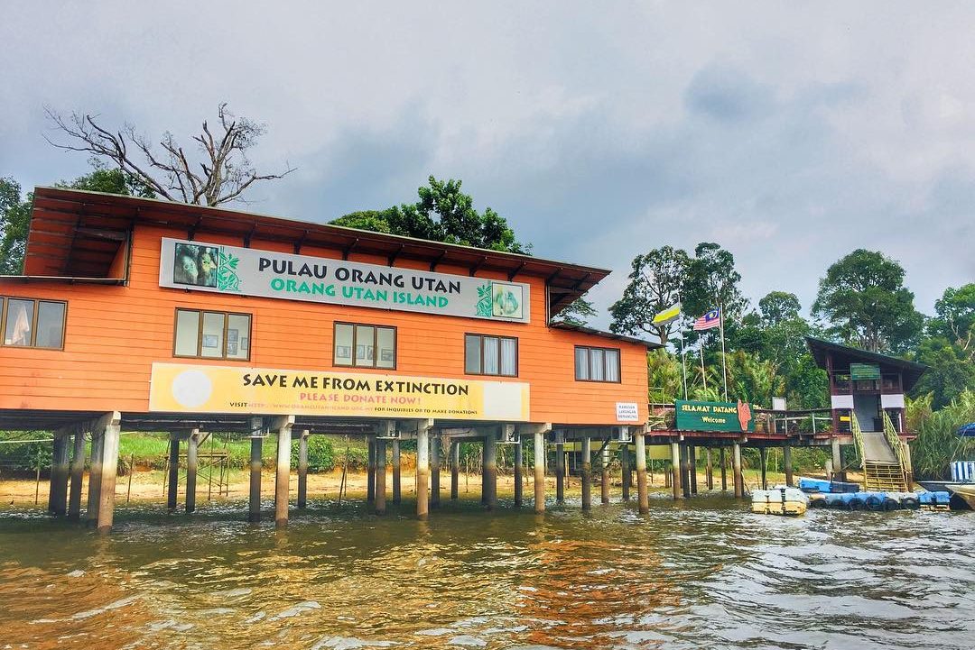 Maleisie Penang orang-oetan eiland