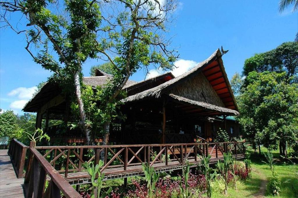 Bilit Rainforest Resort langs de Kinabatangan Rivier Sabah Borneo