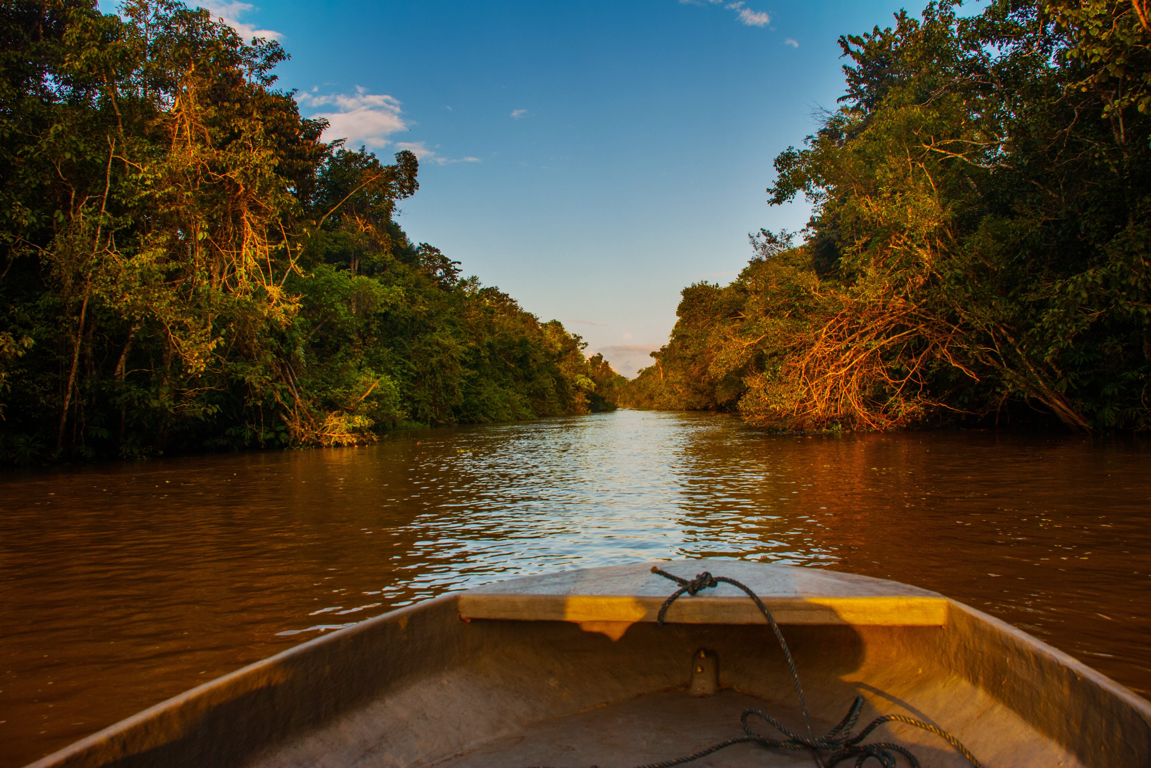 Kinabatangan rivier Sabah Borneo