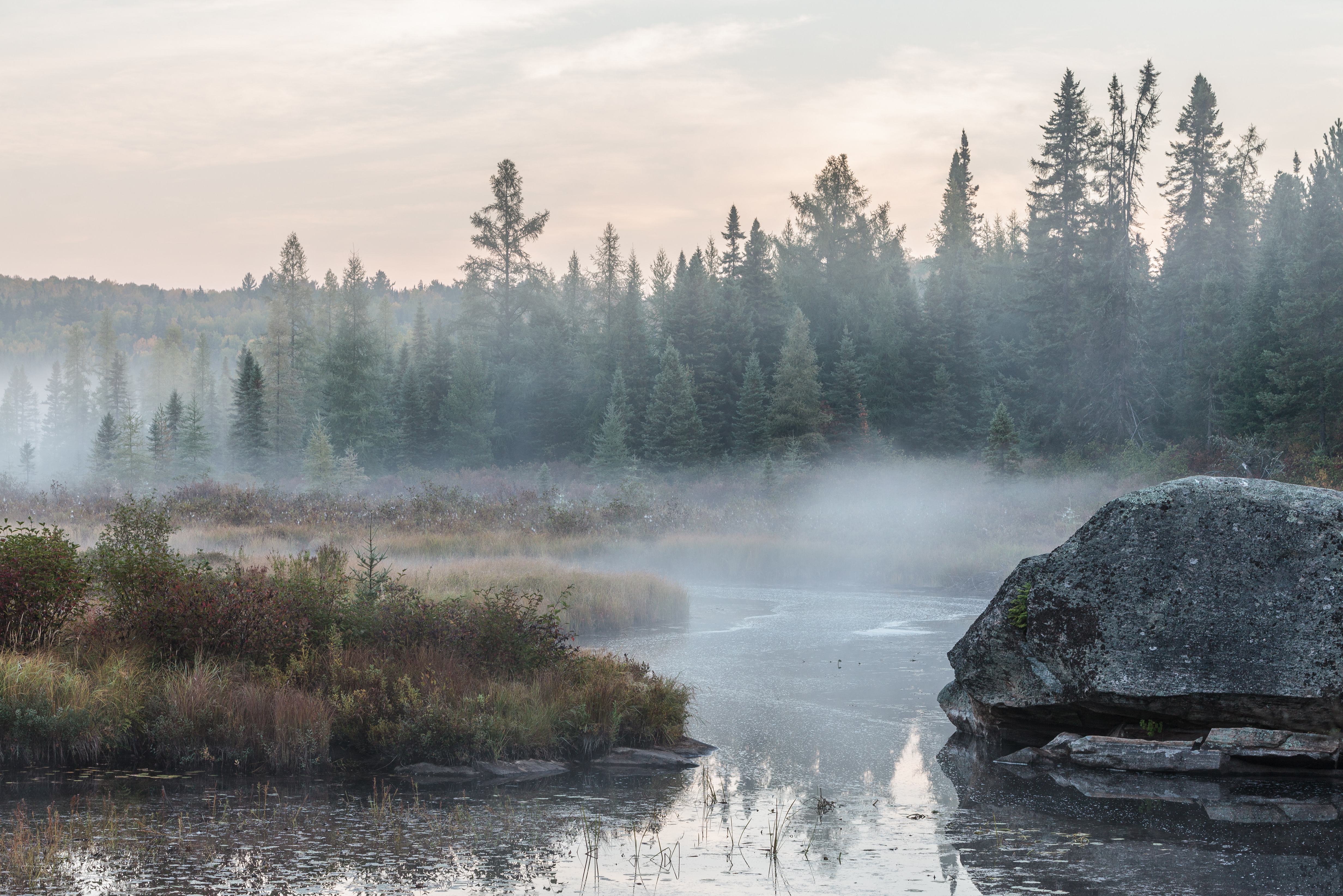 Algonquin Provincial Park Ontario Canada