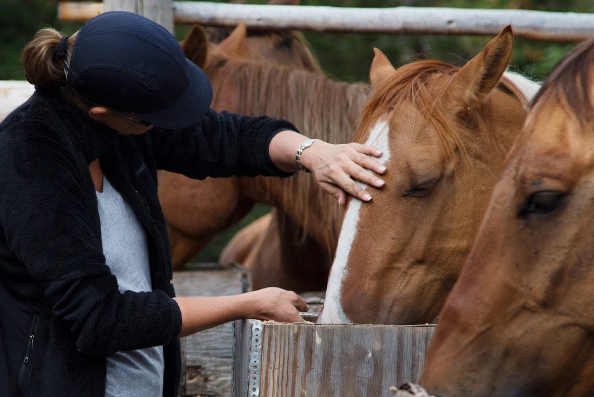 Paardrijden in Banff National Park Canada