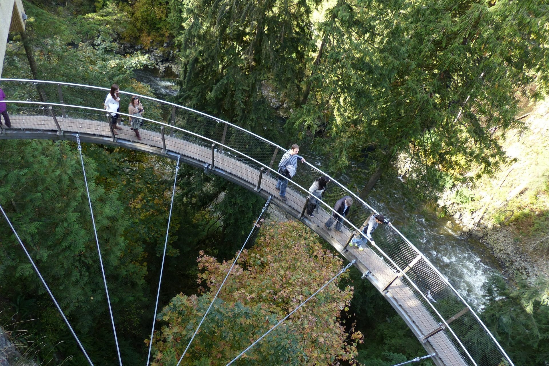 Capilano suspension bridge excursie Vancouver