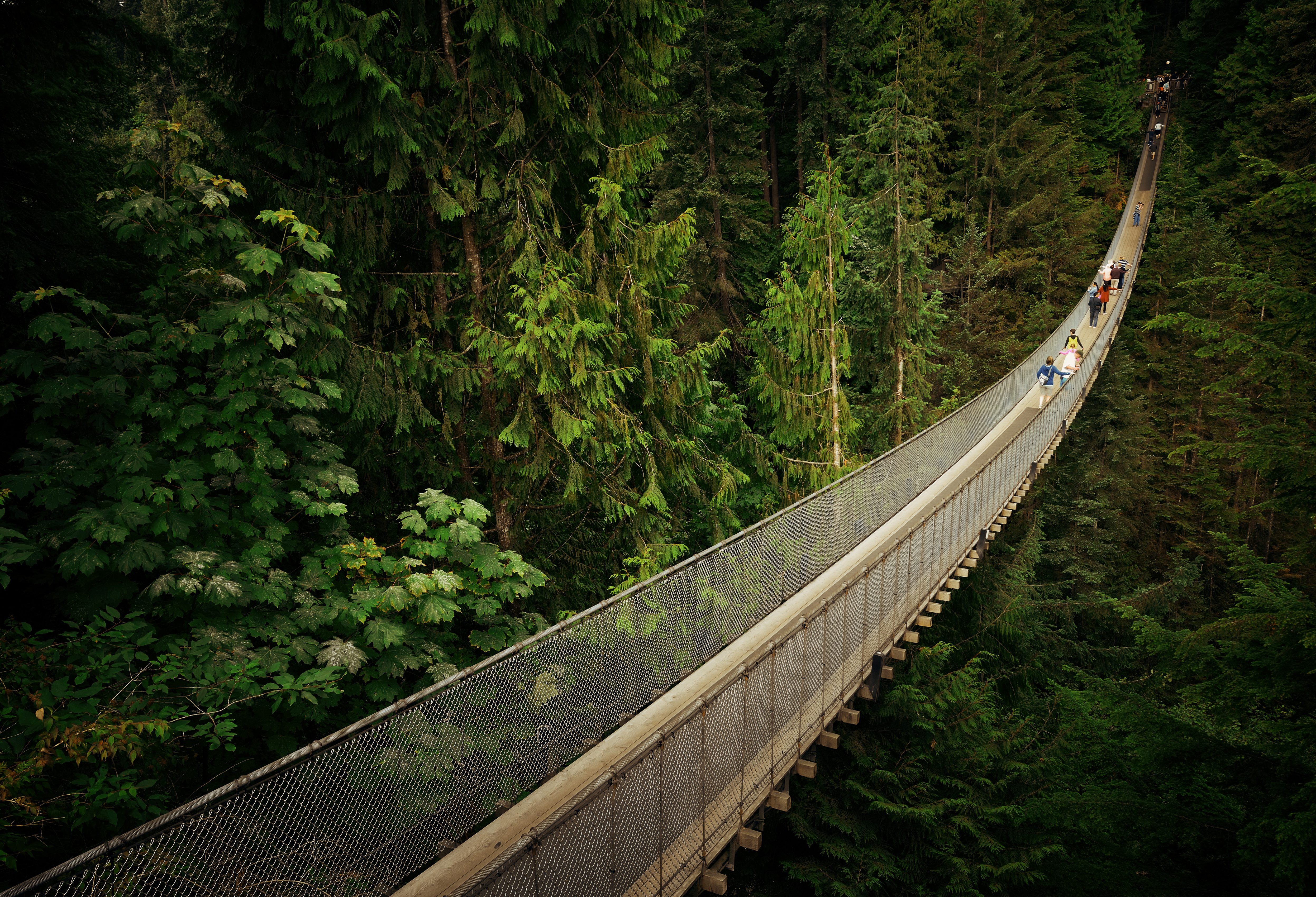 Capilano suspension bridge excursie Vancouver
