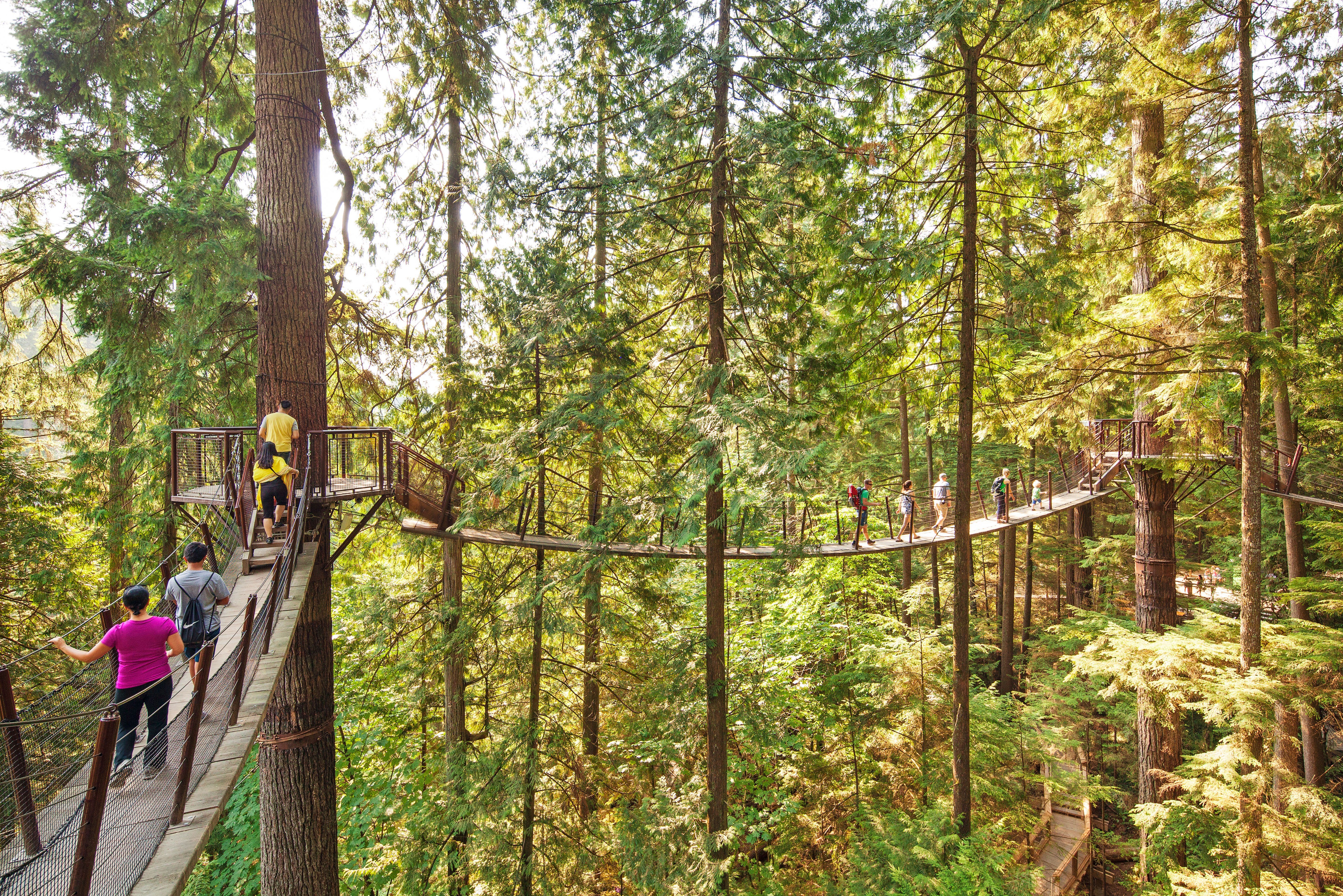 Capilano suspension bridge excursie Vancouver