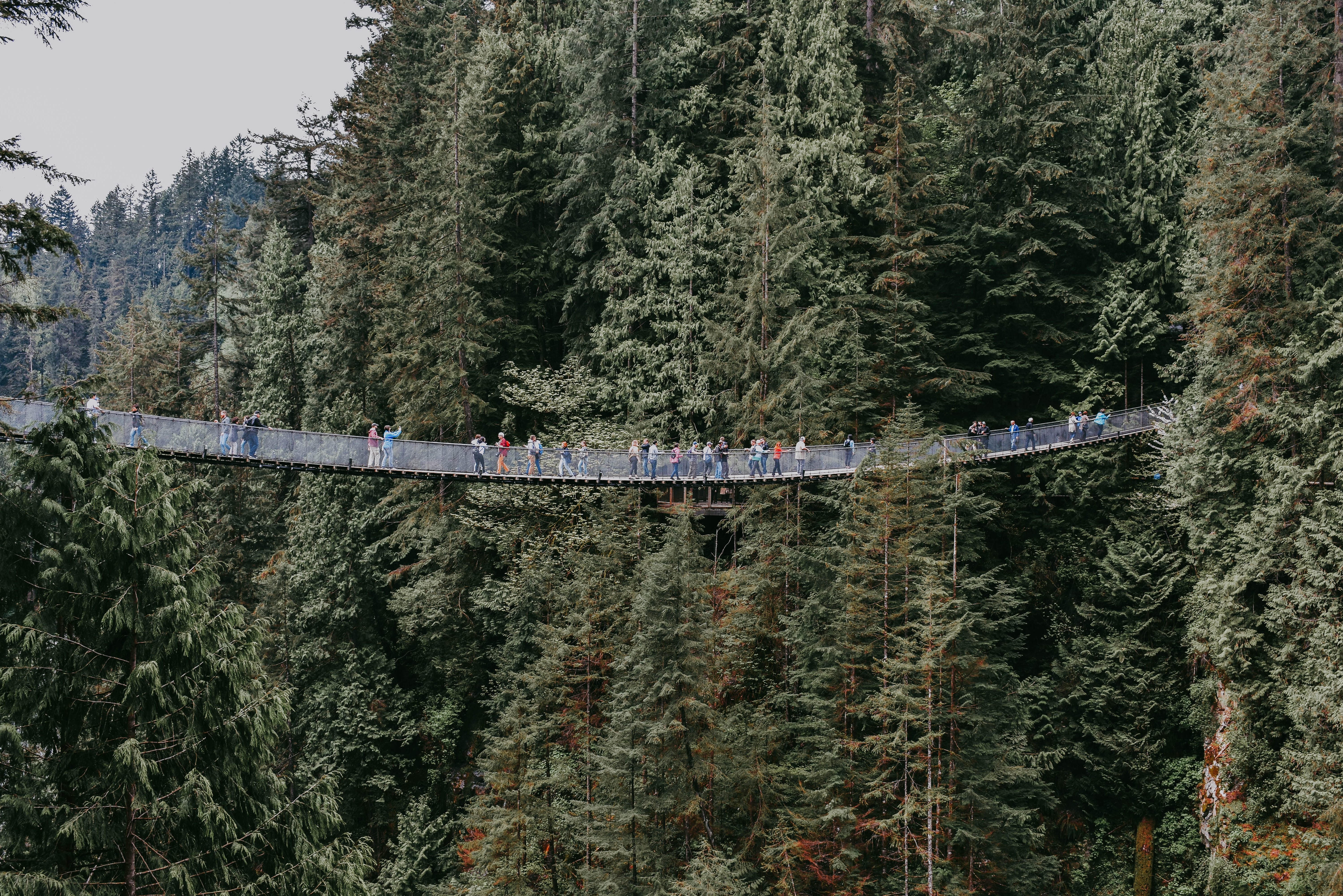Capilano suspension bridge excursie Vancouver