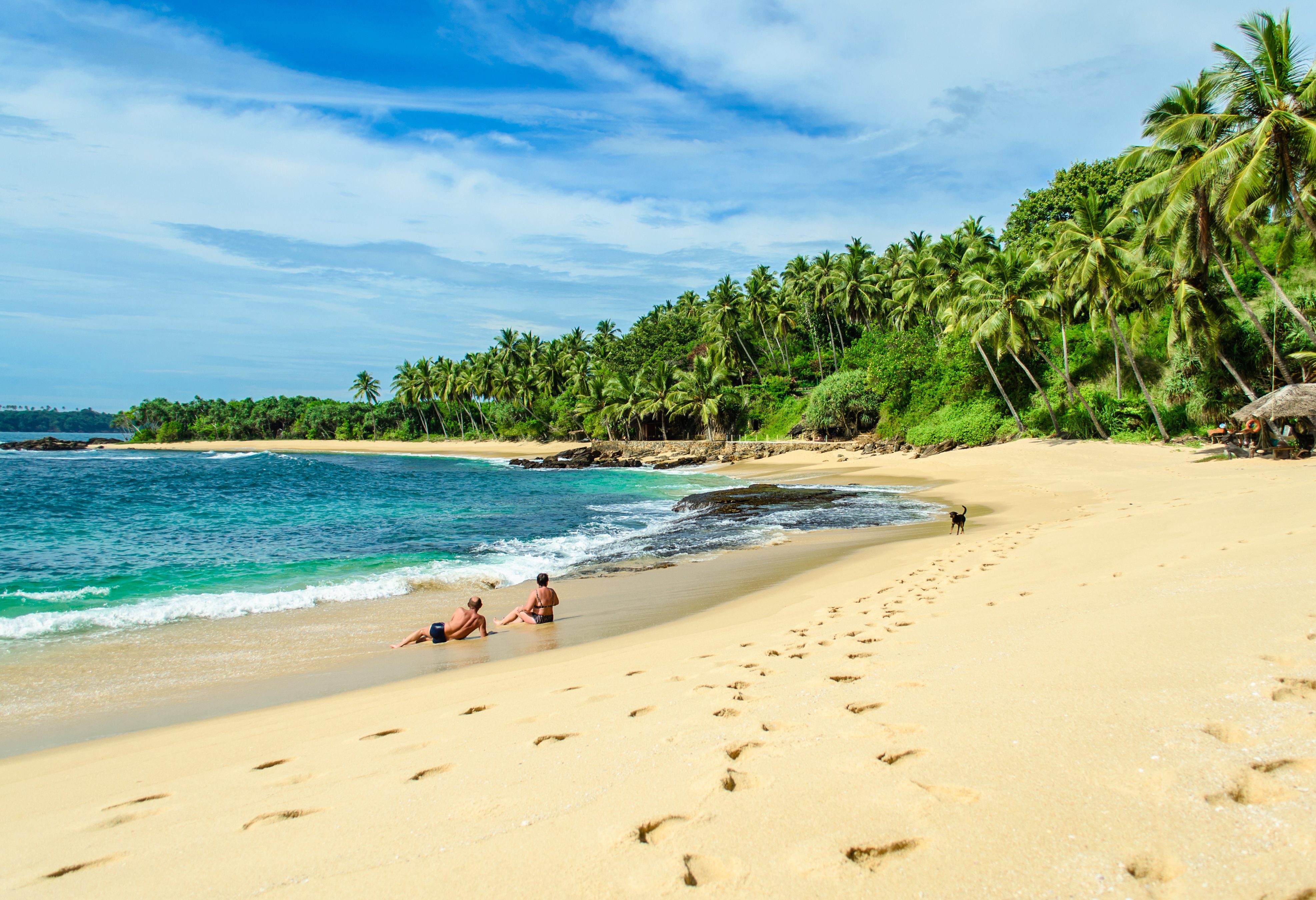 Tropisch strand in Sri Lanka