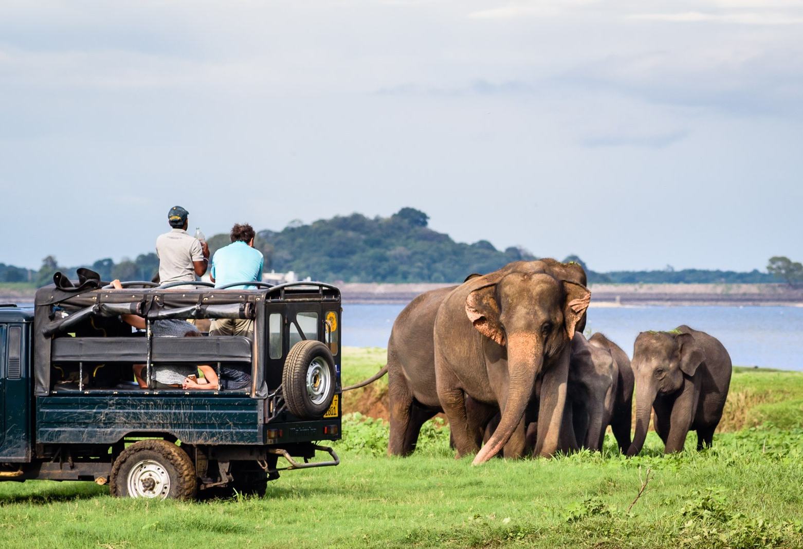 Game drive in Yala National Park